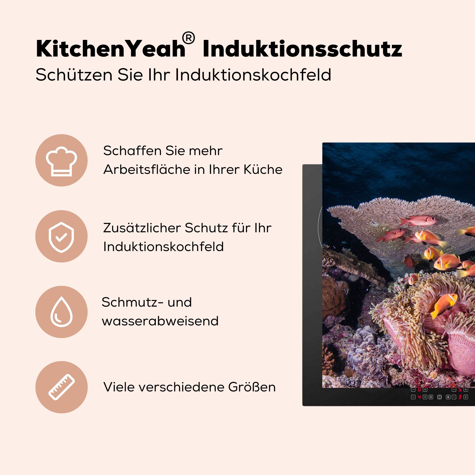 Herdblende-/Abdeckplatte Induktionskochfeld die Vinyl, Koralle Fisch Ceranfeldabdeckung 81x52 für Nemo, - MuchoWow - Schutz cm, tlg), (1 küche,