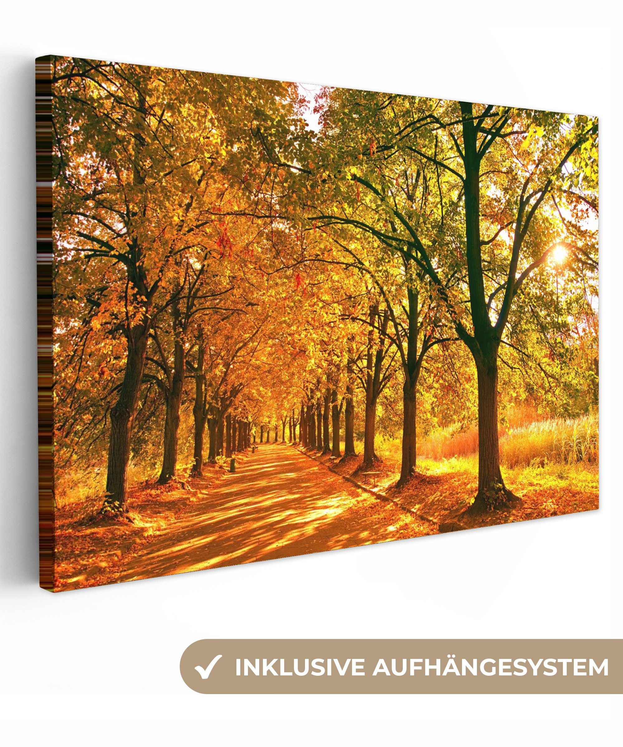 OneMillionCanvasses® Leinwandbild Wald - Herbst - Jahreszeiten - Ländlich, günstig online kaufen