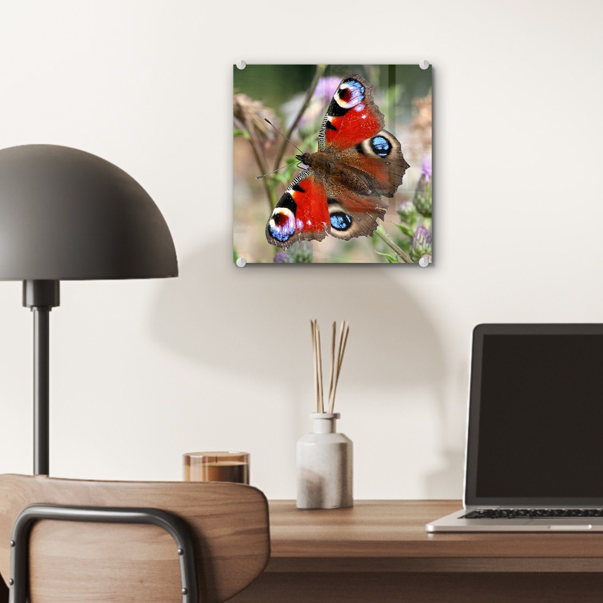 Bilder Glasbilder auf Schmetterling, auf Wandbild Glas - Foto Wanddekoration Tagpfauenauge Acrylglasbild St), - (1 Glas MuchoWow -