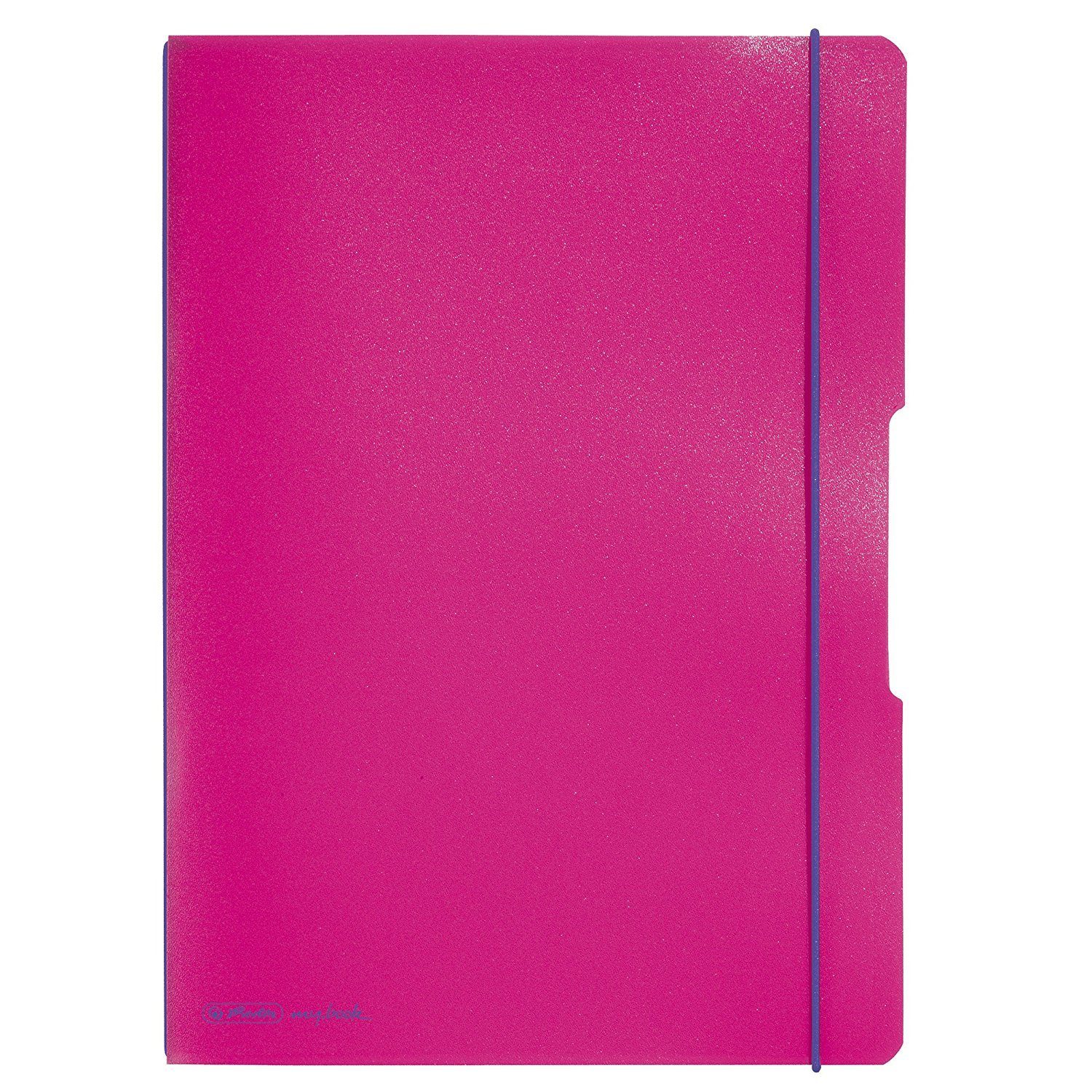 Notizheft Herlitz Notizheft / DIN A4 / flexibel / je 40 Blatt kariert + liniert