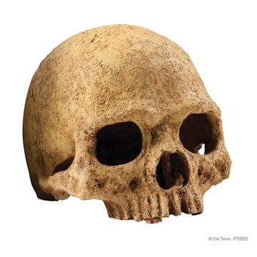 Exo Terra Terrariendeko Versteck Primate Skull