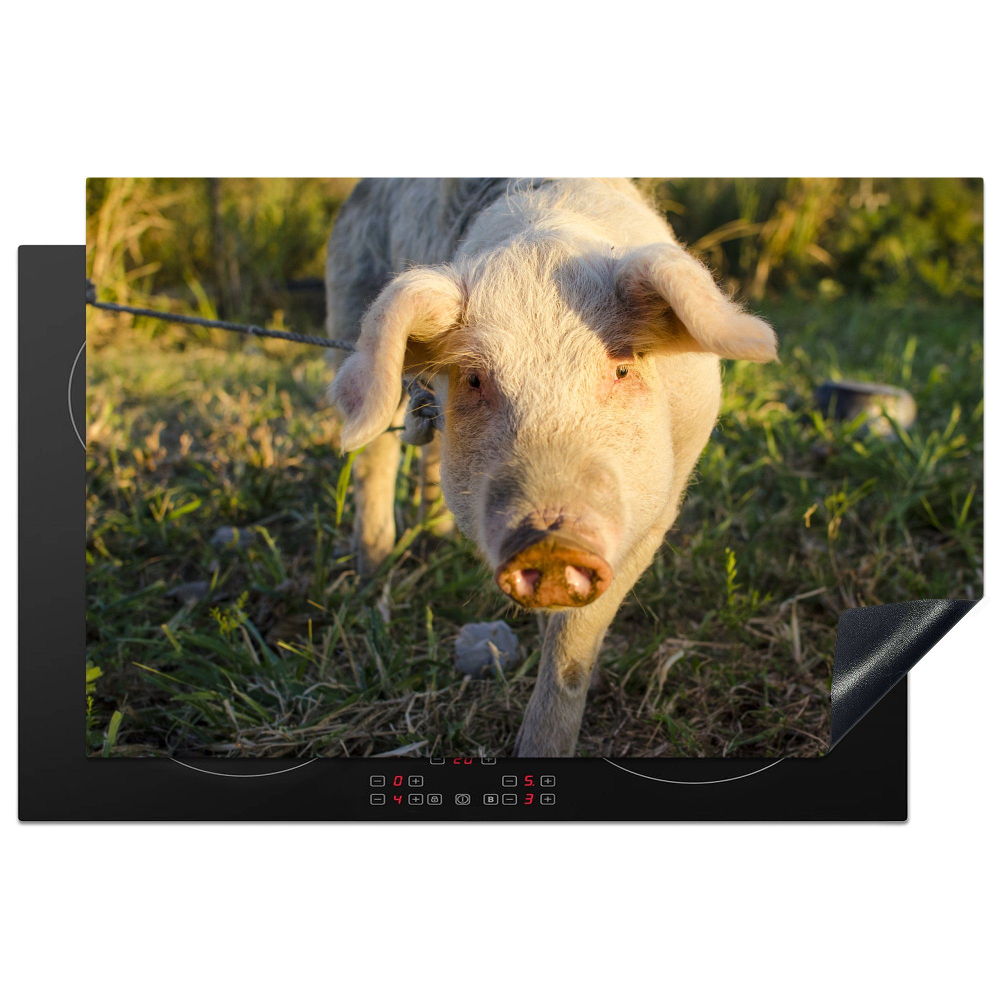 küche, tlg), - - Spiel Induktionskochfeld Ceranfeldabdeckung Herdblende-/Abdeckplatte 81x52 Vinyl, (1 Sonnenuntergang, die MuchoWow Schwein Schutz cm, für