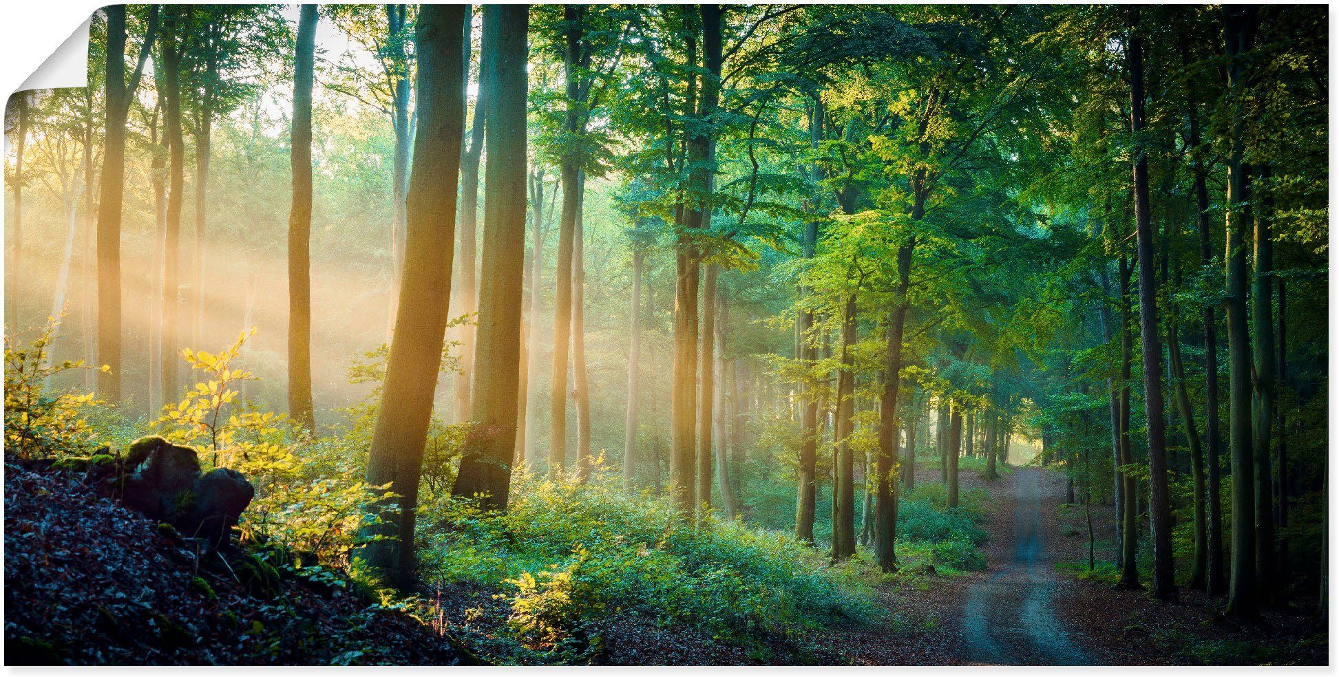 Herbstmorgen als Leinwandbild, Wandaufkleber Wald, Poster im (1 Artland versch. Waldbilder Größen Wandbild Alubild, oder St), in