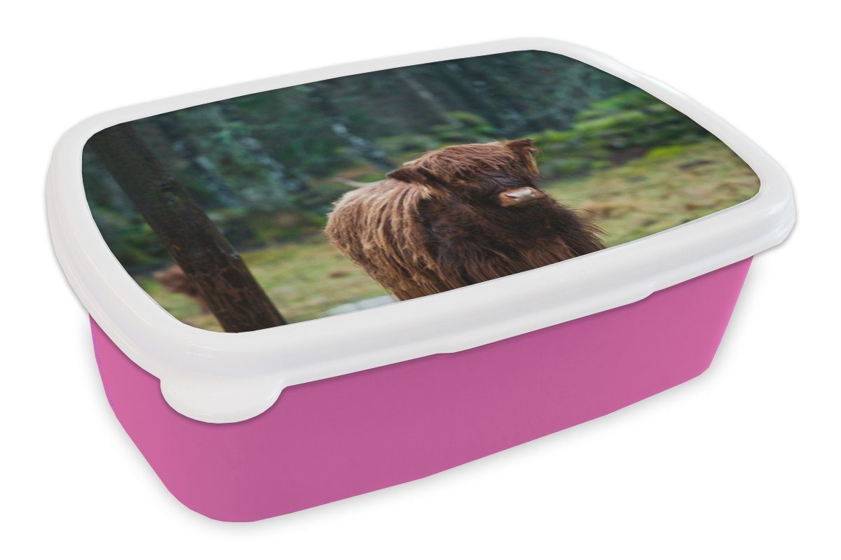 MuchoWow Lunchbox Schottischer Hochländer - Wald - Moos, Kunststoff, (2-tlg), Brotbox für Erwachsene, Brotdose Kinder, Snackbox, Mädchen, Kunststoff rosa