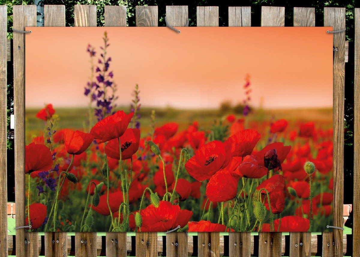 Thumbnail - Wallario Sichtschutzzaunmatten Mohnblumen auf dem Feld