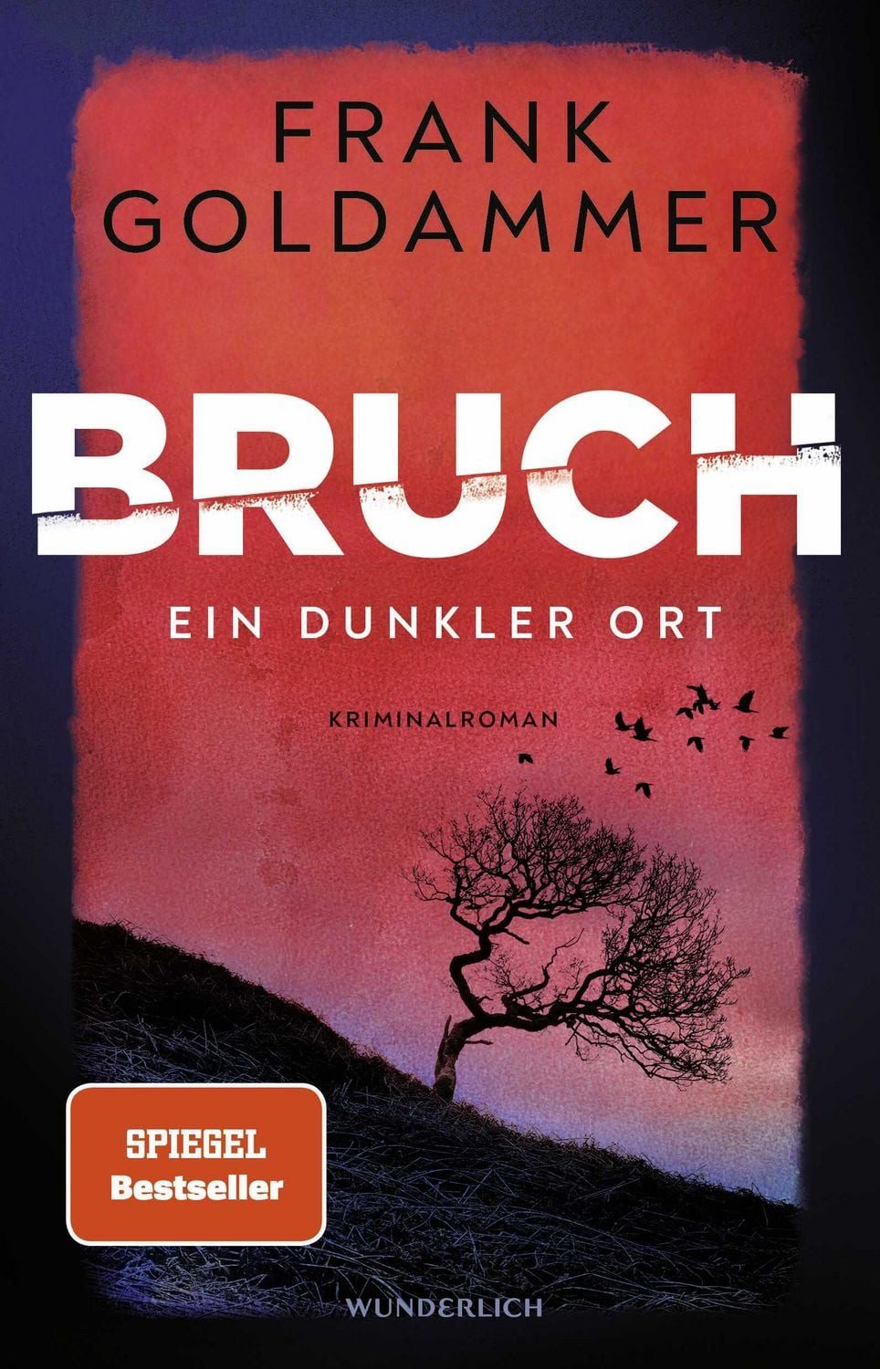 Bruch: Ein dunkler Ort / Frank Goldammer