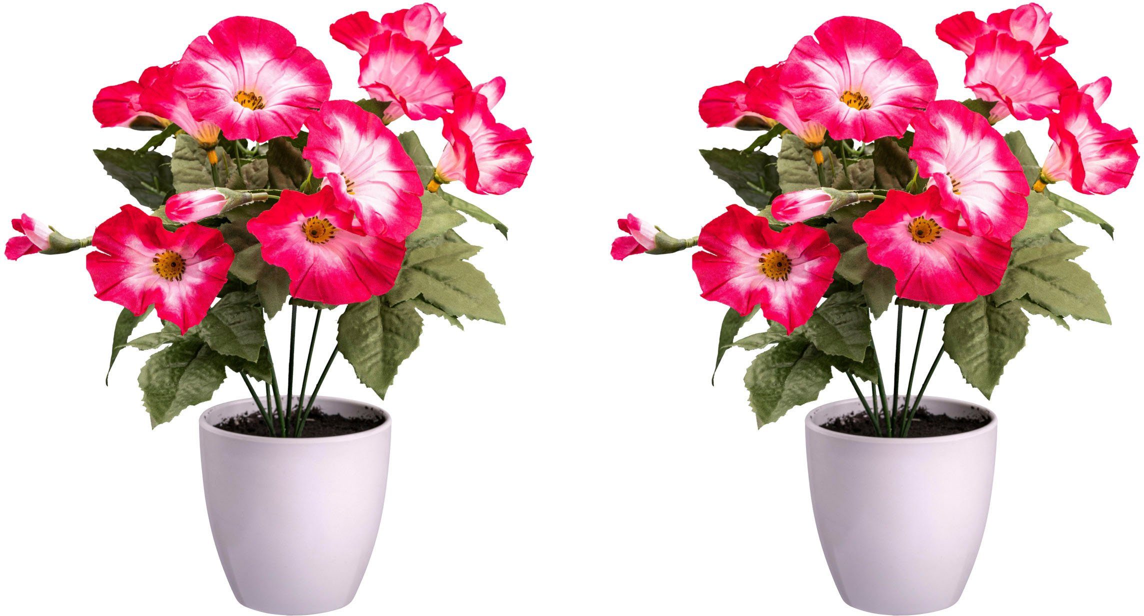Kunstblume Petunie Mohn, Creativ green, Höhe günstig online kaufen