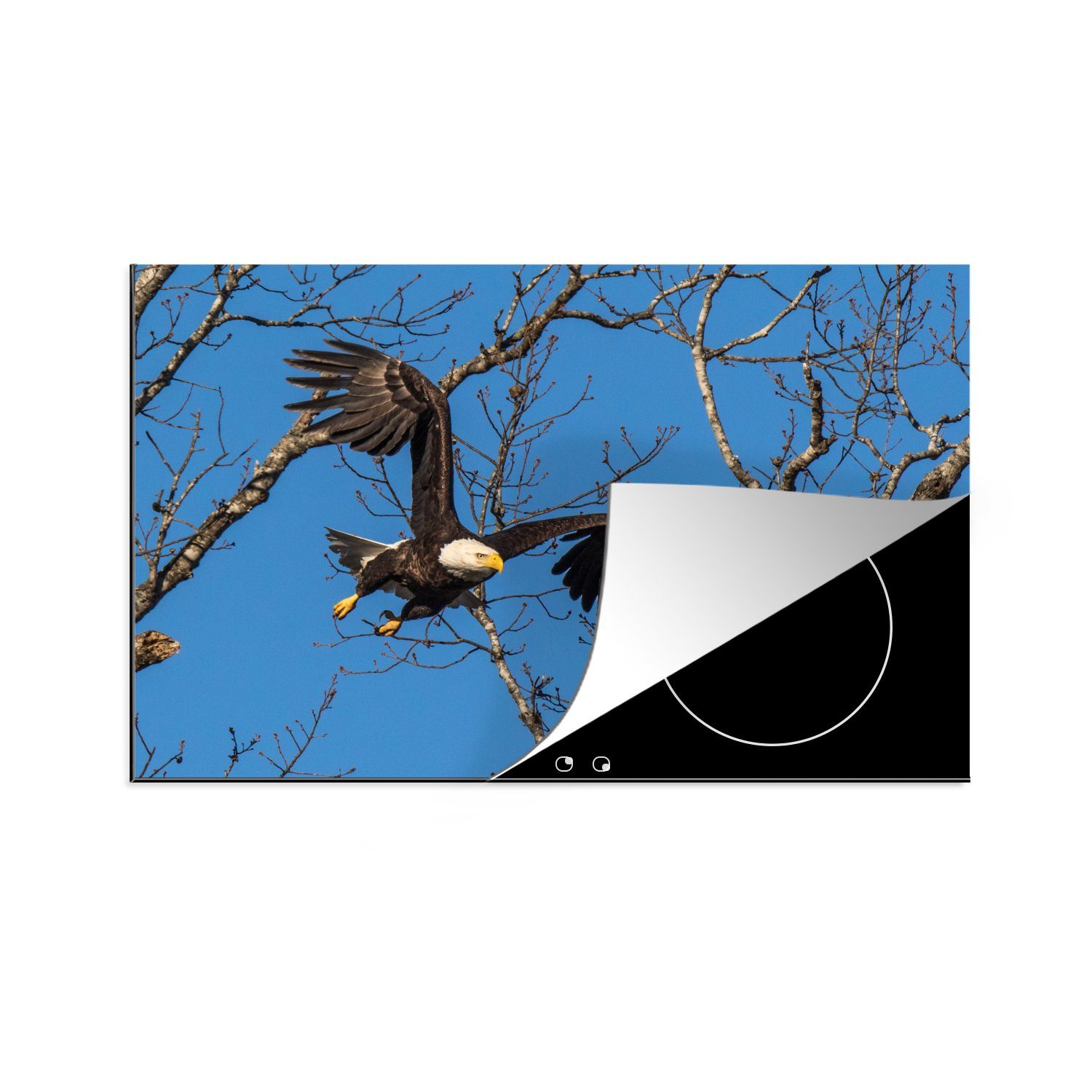 MuchoWow Herdblende-/Abdeckplatte Weißkopfseeadler fliegt durch den blauen Himmel von Tennesee, Vinyl, (1 tlg), 81x52 cm, Induktionskochfeld Schutz für die küche, Ceranfeldabdeckung