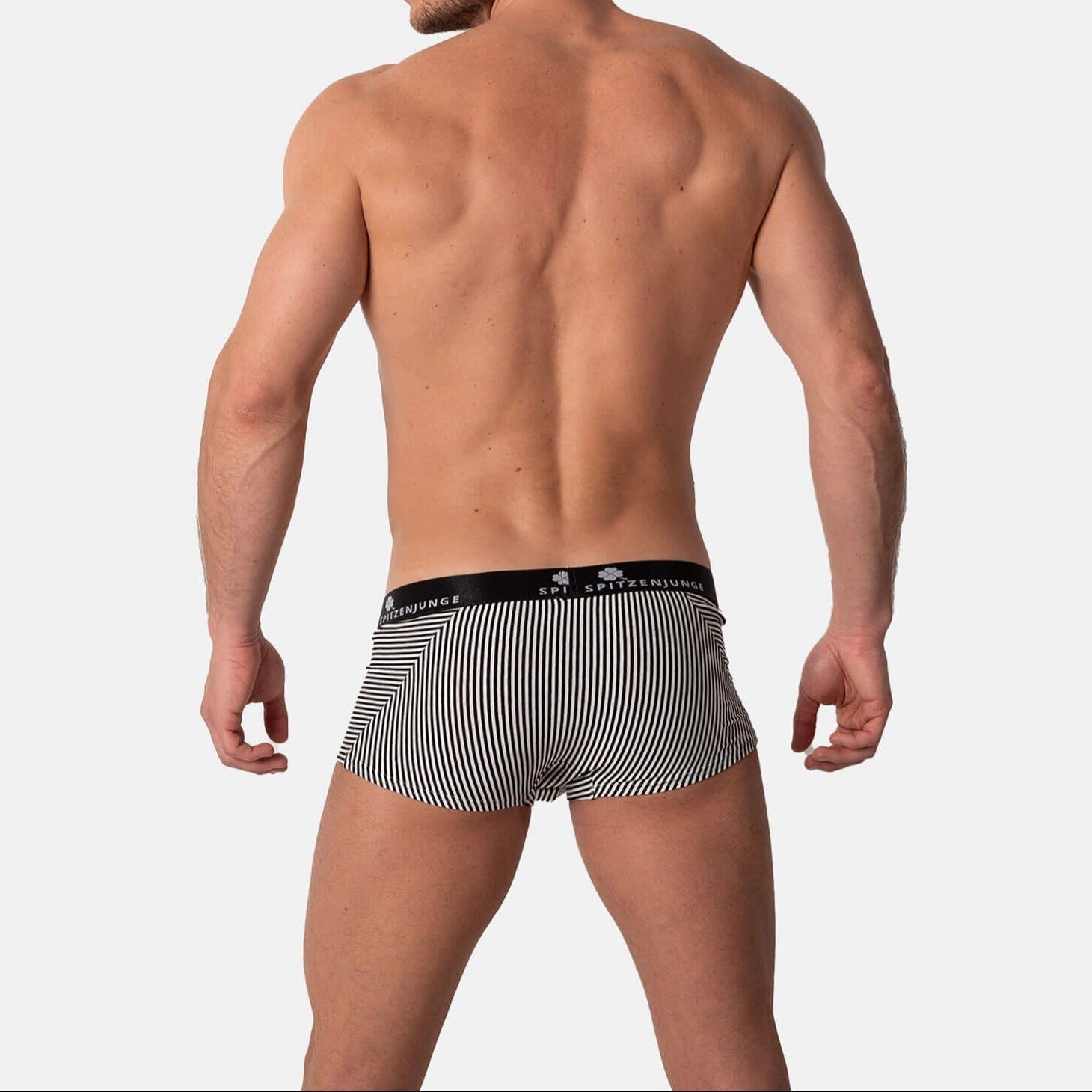 SPITZENJUNGE Boxer André Noir