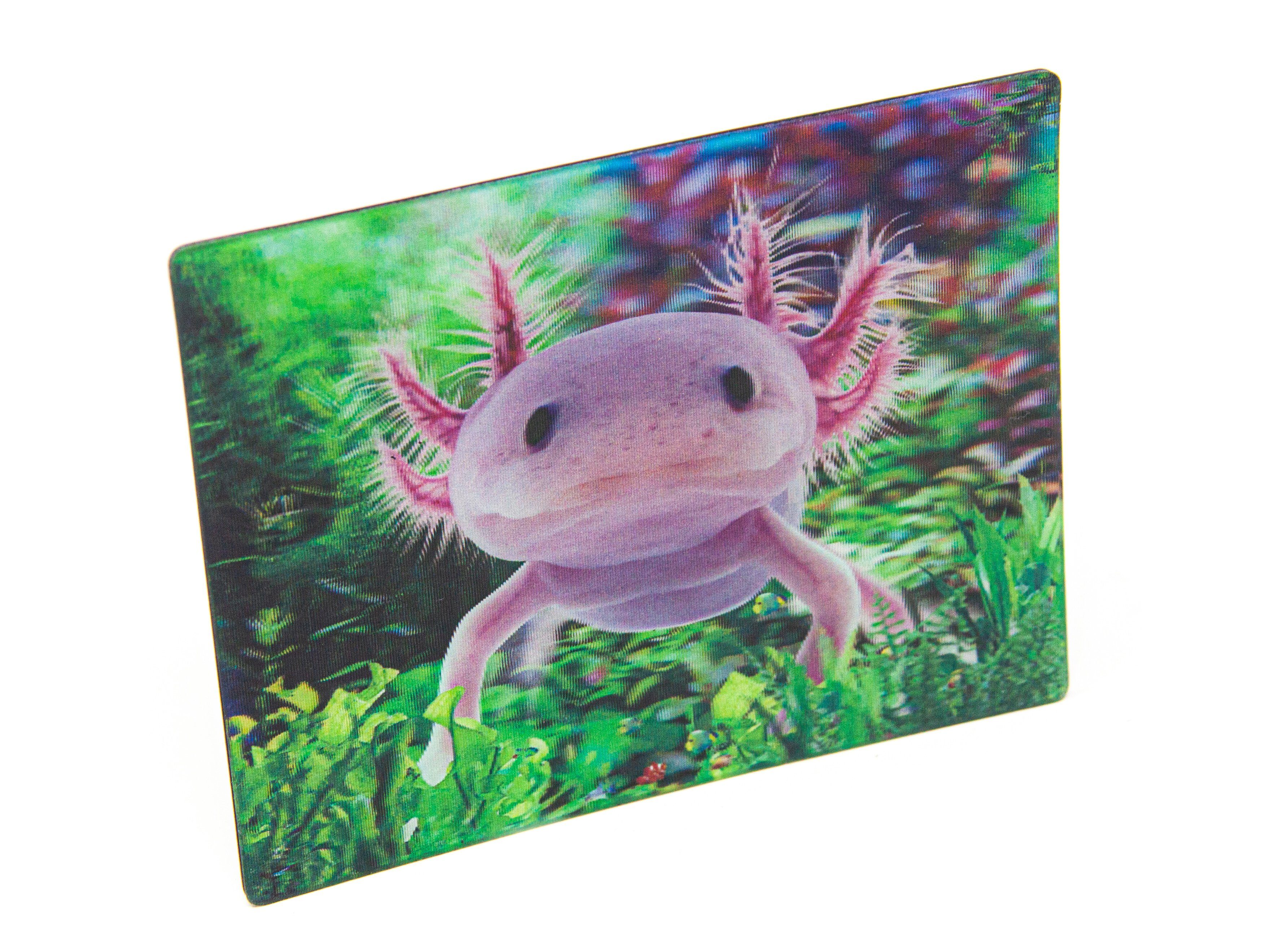 Cornelißen Magnet 3D Magnet Axolotl
