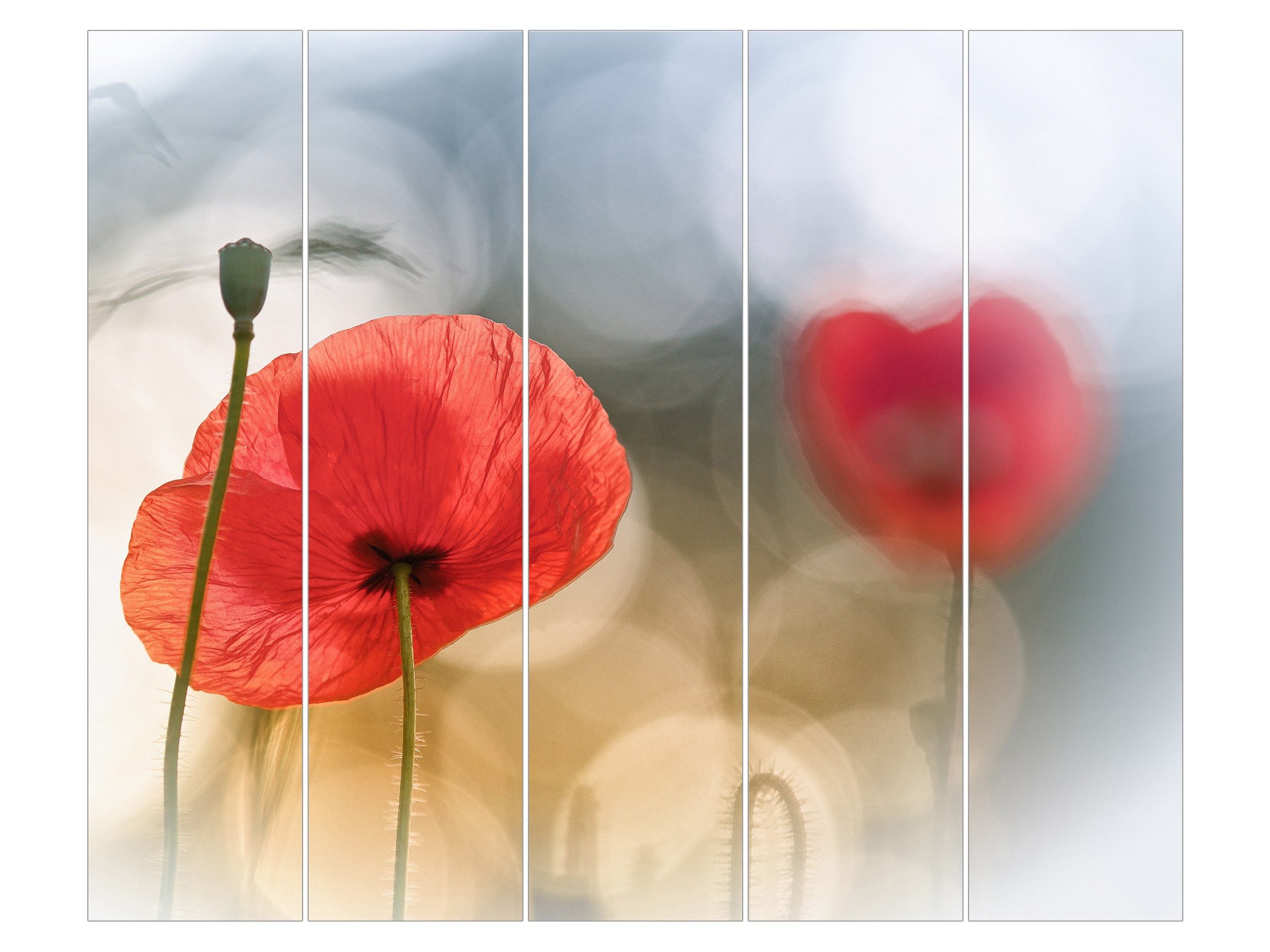 Bilderdepot24 Schiebegardine modern Flächenvorhang blickdicht Mohnblumen am Morgen (5 St), halbtransparent, Wohnzimmer große Flächengardine lichtdurchlässig für Klemm-System