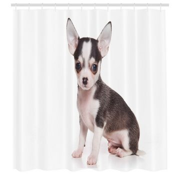 Abakuhaus Duschvorhang Moderner Digitaldruck mit 12 Haken auf Stoff Wasser Resistent Breite 175 cm, Höhe 180 cm, Chihuahua Ohren Innocent Eyes