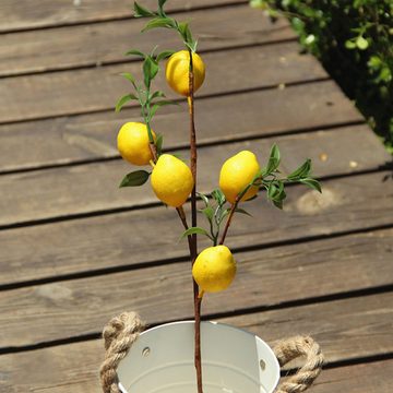 Kunstzweig Künstlicher Zitronenzweig,5 Künstliche Zitrone mit grünen Blättern, SEEZSSA, Kunstbaum künstlicher Zitronenbaum Dekopflanze Zitrone, 50cm Länge