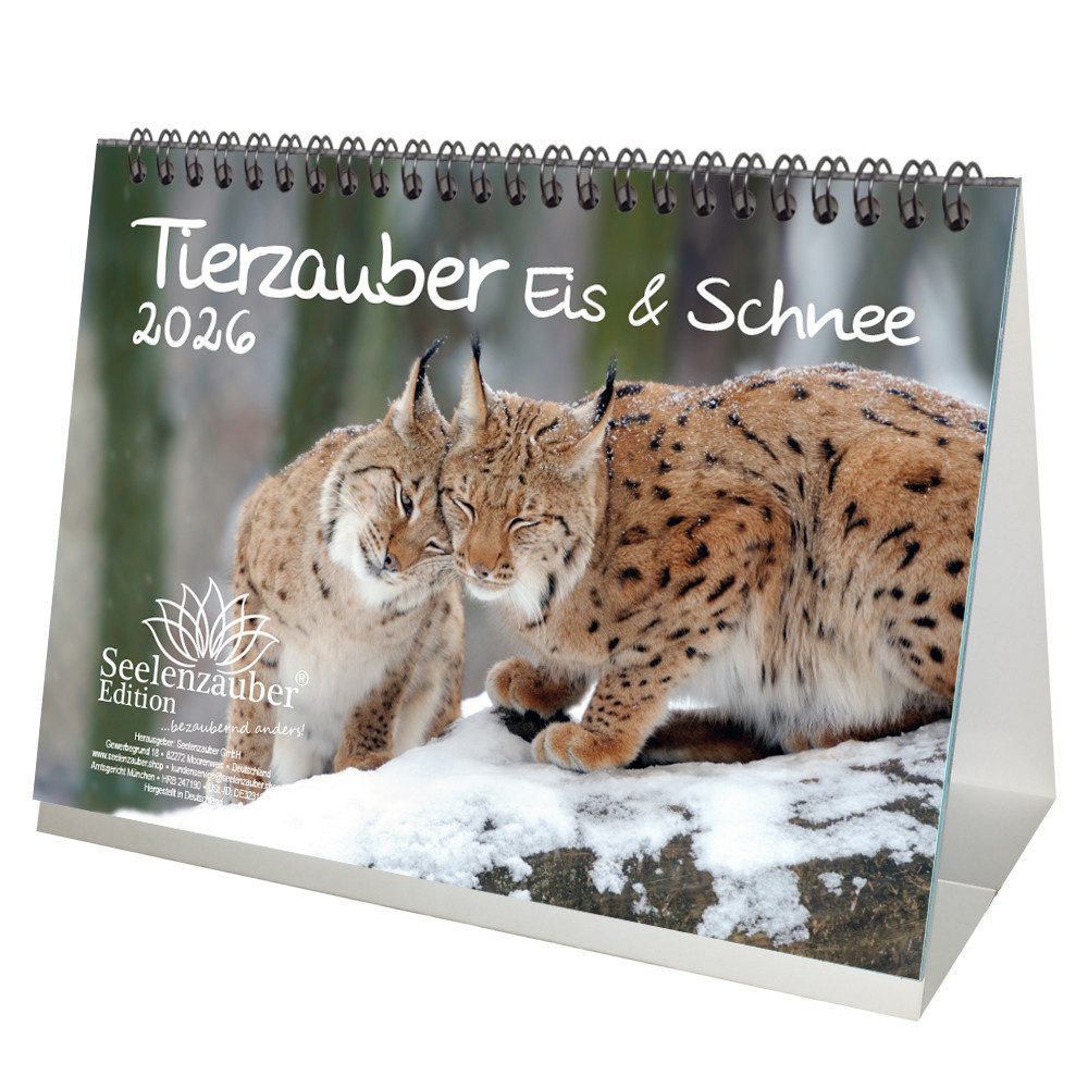 Seelenzauber Tischkalender Tierzauber Eis und Schnee DIN A5 Tischkalender für 2026 Tiere Polar