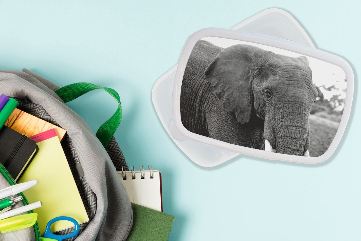 MuchoWow Lunchbox Elefant - Tiere und - Jungs und Schwarz Natur, Kunststoff, Brotdose, (2-tlg), Mädchen für Brotbox Erwachsene, - - Kinder für Weiß
