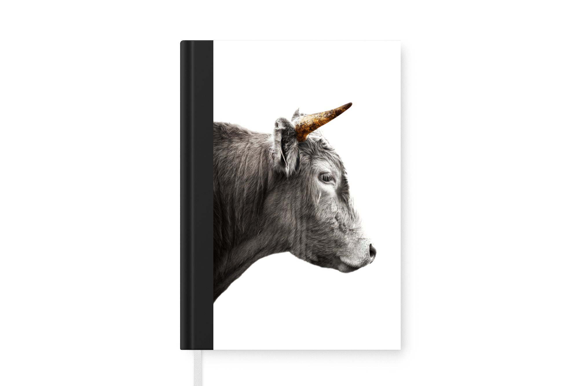 MuchoWow Notizbuch Schottischer Highlander - Tiere - Kuh, Journal, Merkzettel, Tagebuch, Notizheft, A5, 98 Seiten, Haushaltsbuch