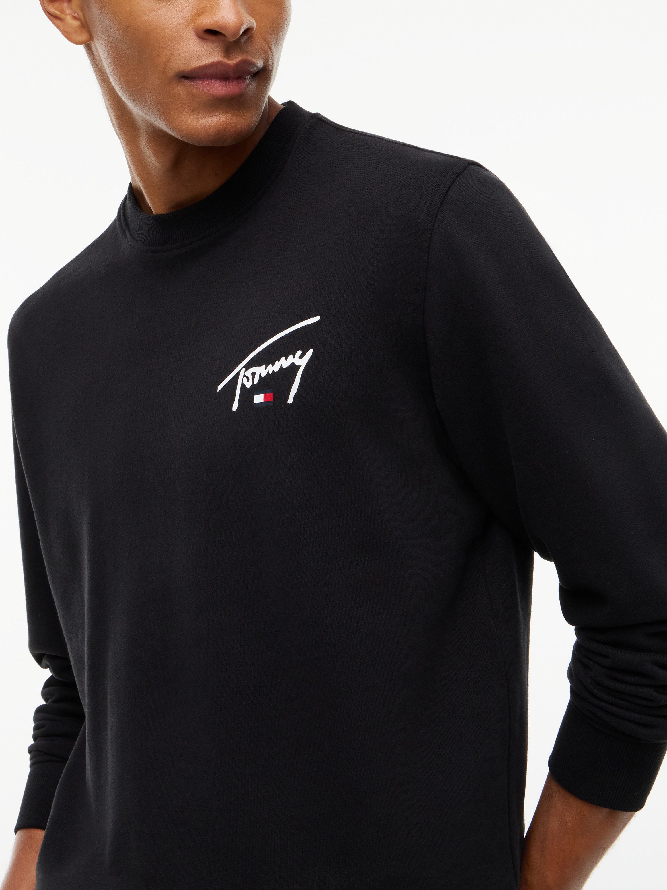 Tommy Jeans Sweatshirt REGULAR ENTRY SIGNATURE Regular fit mit Rundhalsausschnitt