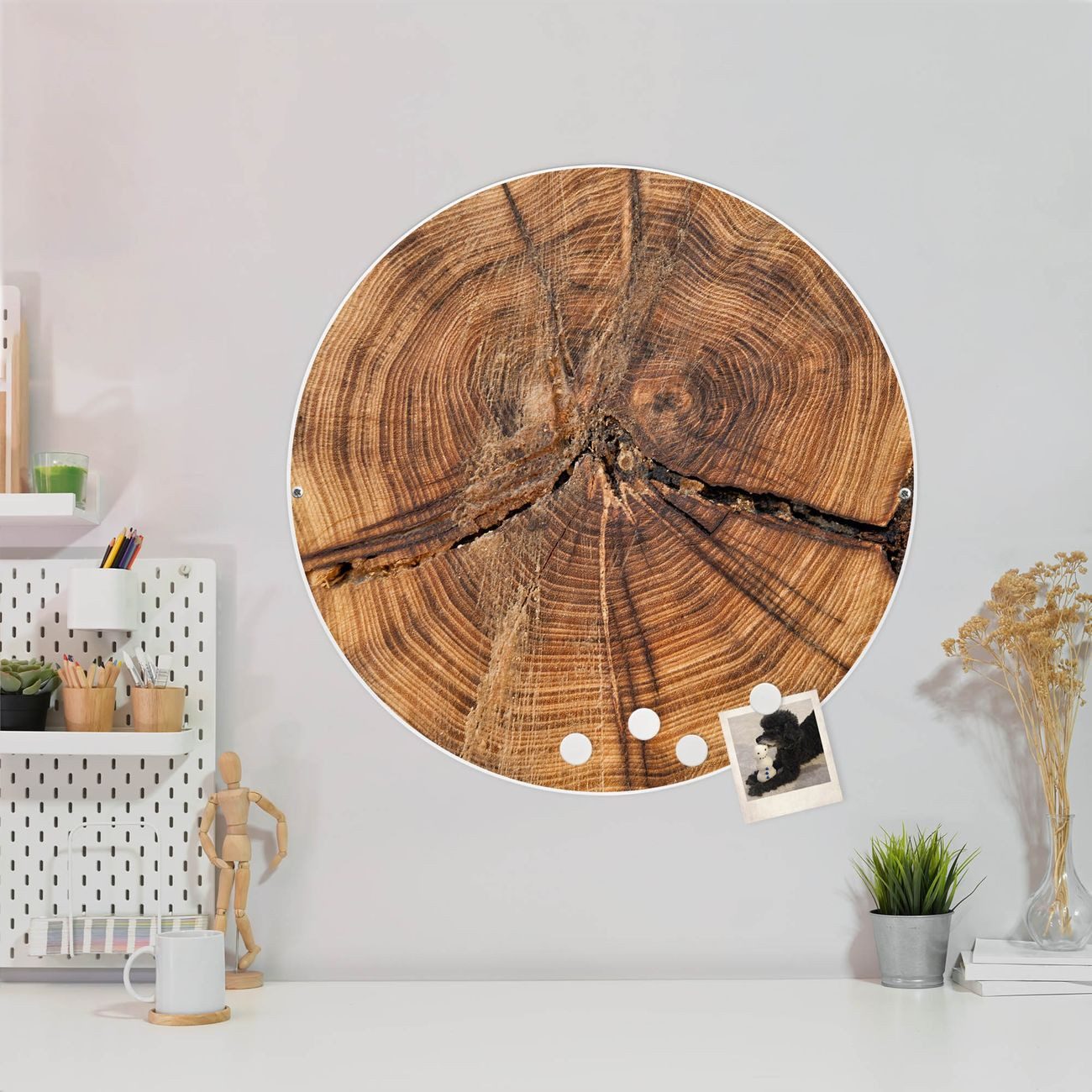 banjado Magnettafel Stahl Rund Jahresringe, (inkl. 4 Magnete, Runde Stahlmagnettafel)