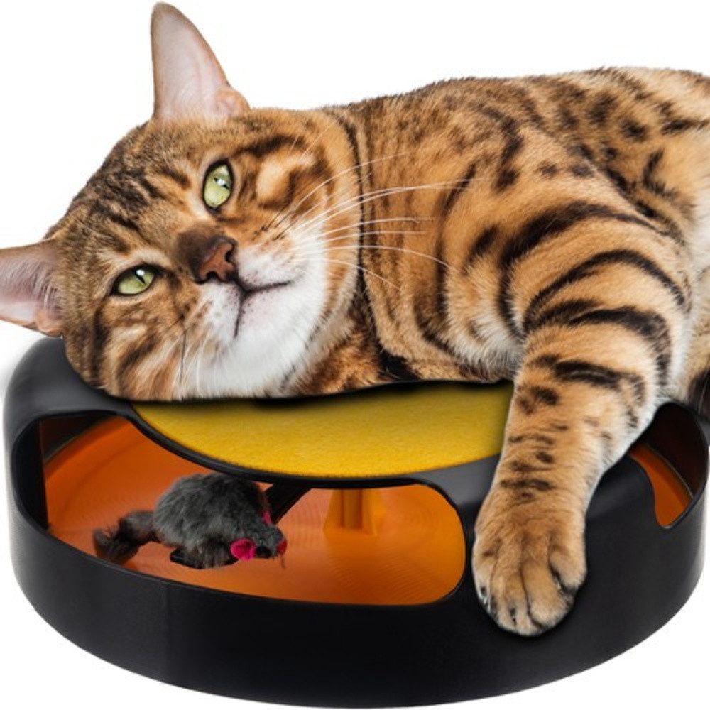 Purlov Katzenspielrad Katzenspielzeug Spielmaus, Kunststoff, Filzmatte zum günstig online kaufen