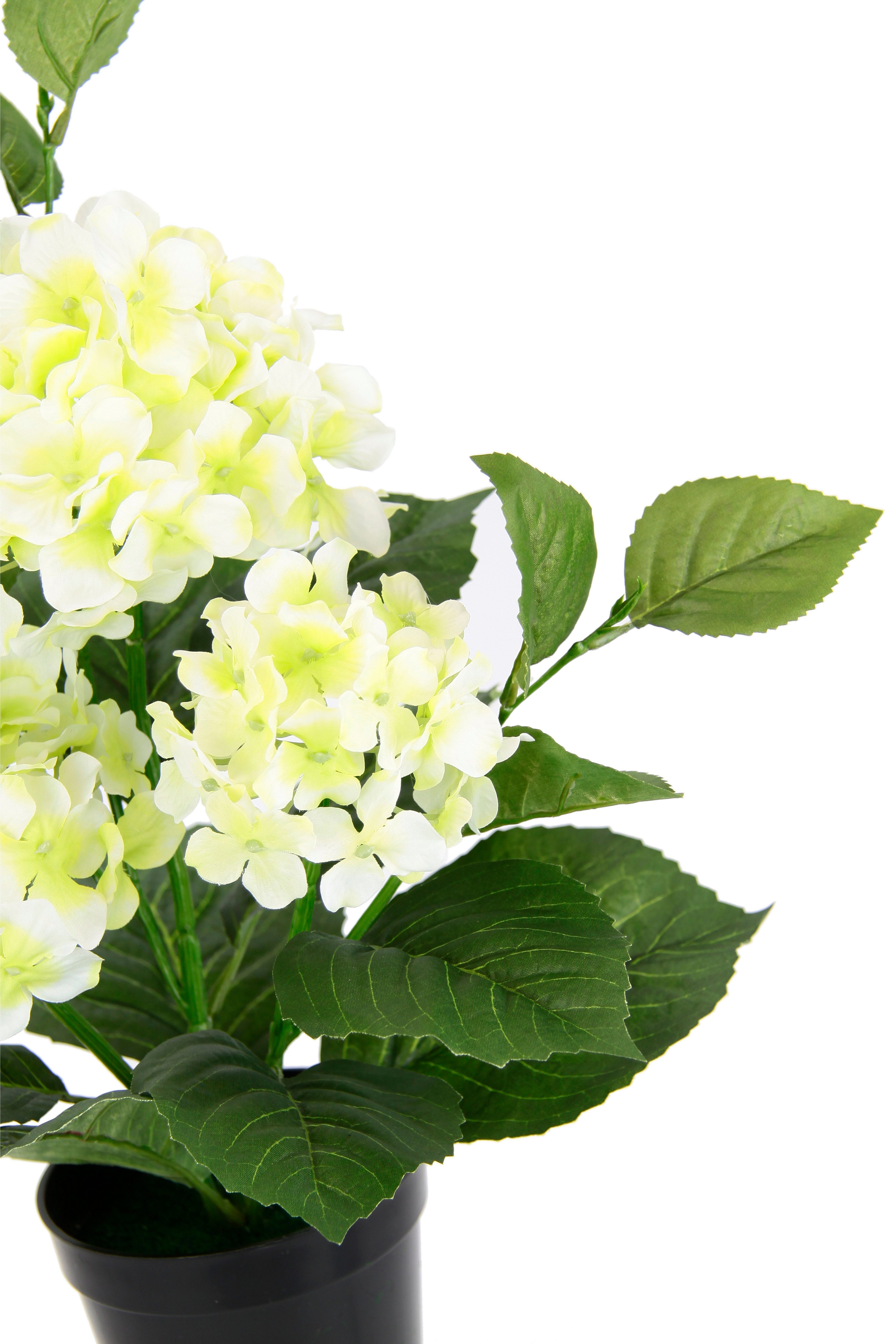 Kunstblume Hortensien, I.GE.A., Höhe 50 cm, Künstliche Hortensie im Topf Bl günstig online kaufen