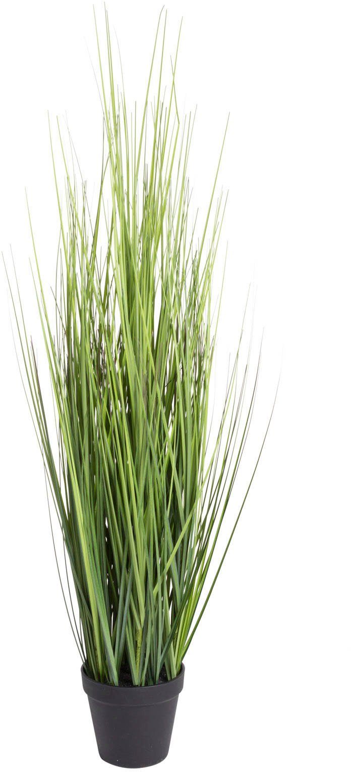 Kunstgras Gras Festuca Gras, Botanic-Haus, Höhe 86 cm günstig online kaufen