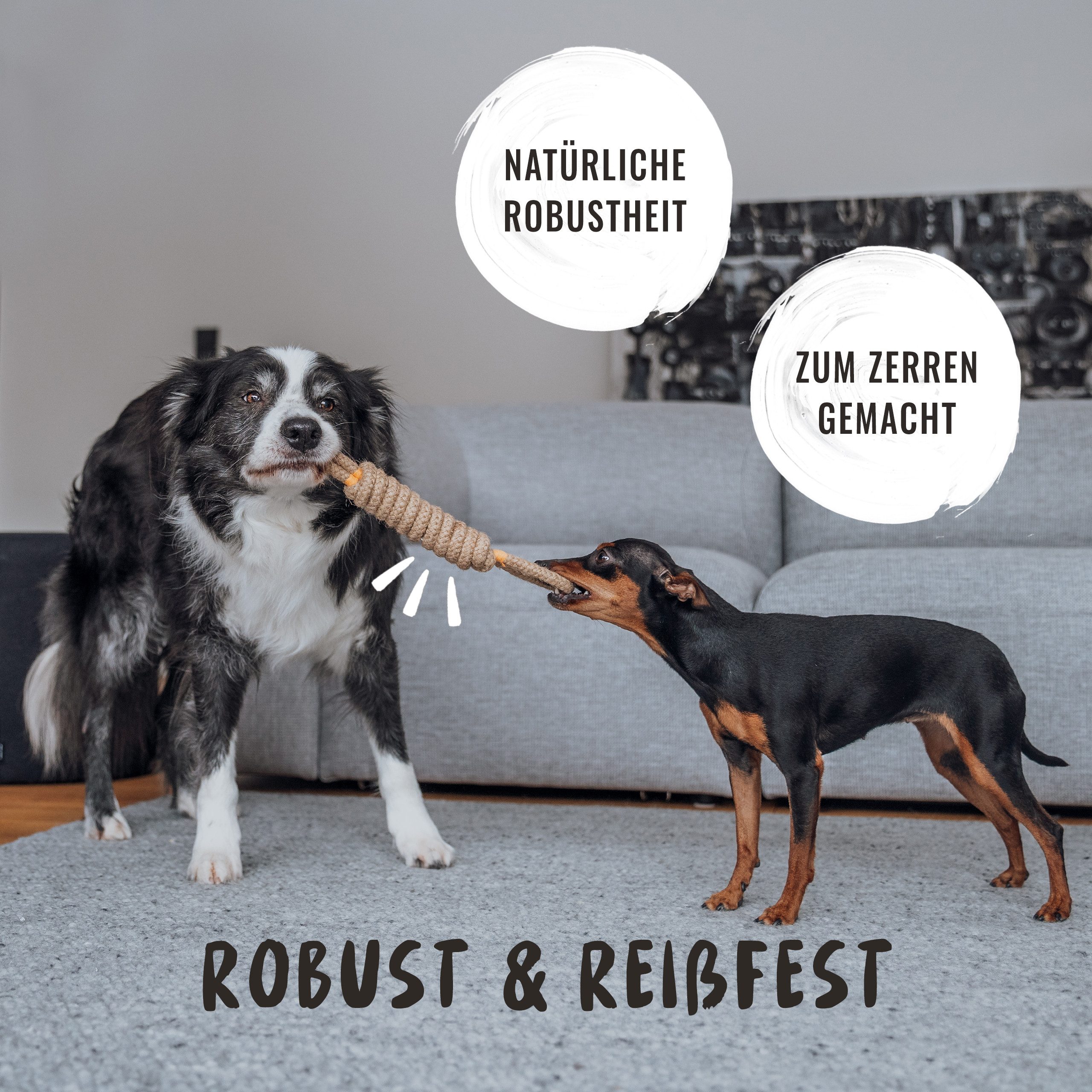 Rudelkönig Zerrspielzeug Seilspielzeug für Hunde aus 100% Baumwolle, Tau Hundespielzeug, (3er Set 3-tlg), Unzerstörbares Zerrspielzeug und Spieltau