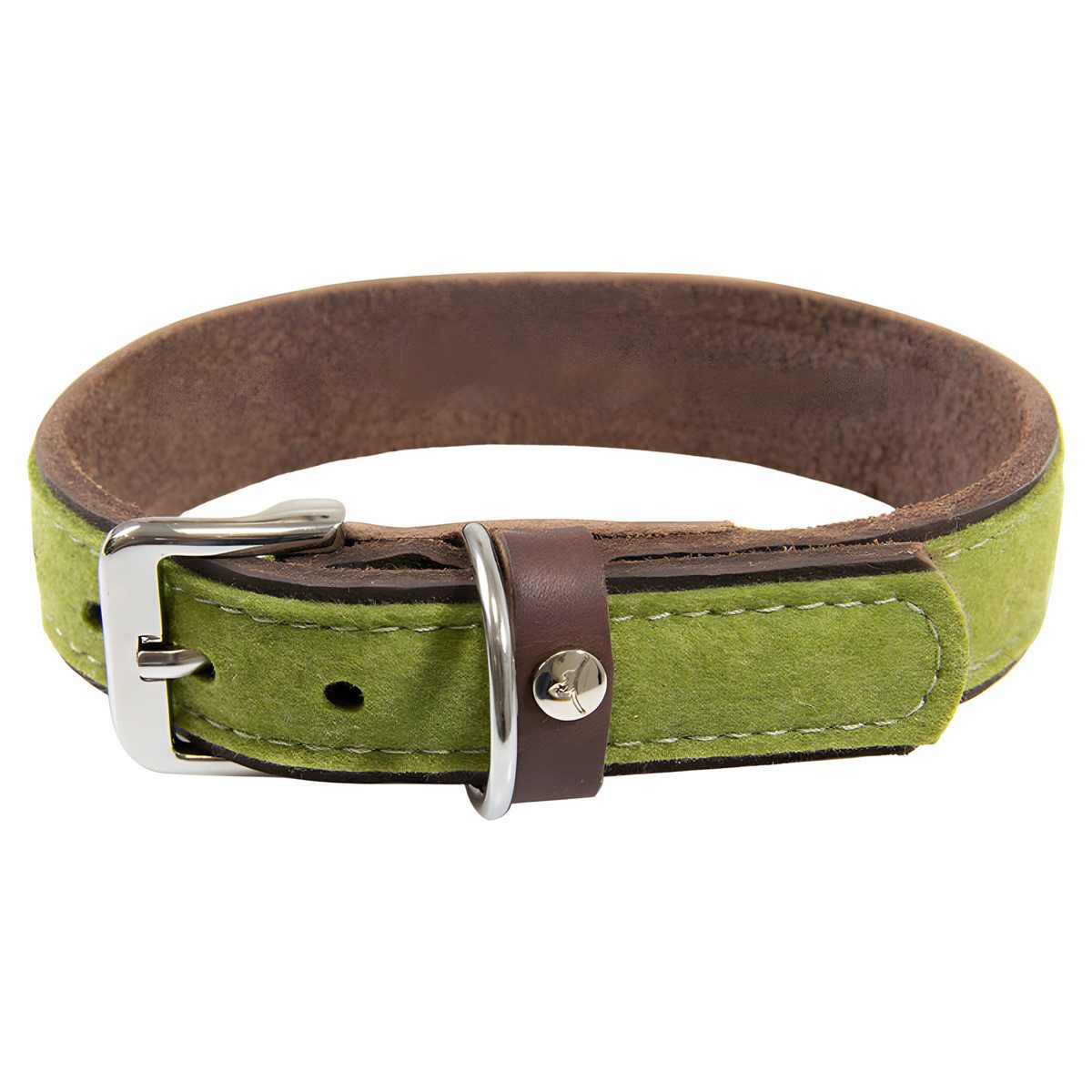 Das Lederband Hunde-Halsband Hundehalsband Norden Lime/Mocca