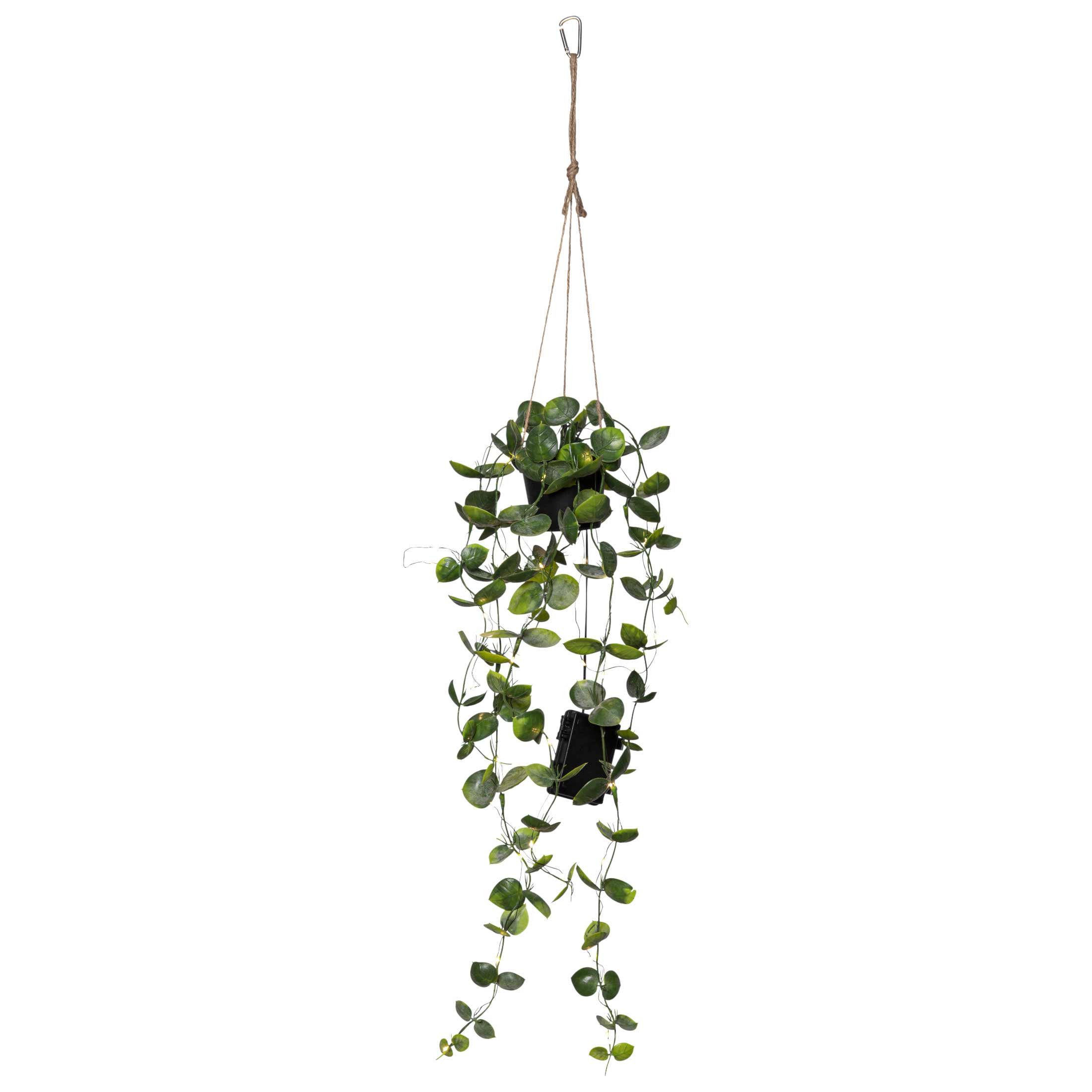 Kunstpflanze Laos Hängepflanze Eukyluptus Art, STAR TRADING, Höhe 60 cm, Hängepflanze mit 50 LEDs warmweiß außen 84cm Eukalyptus