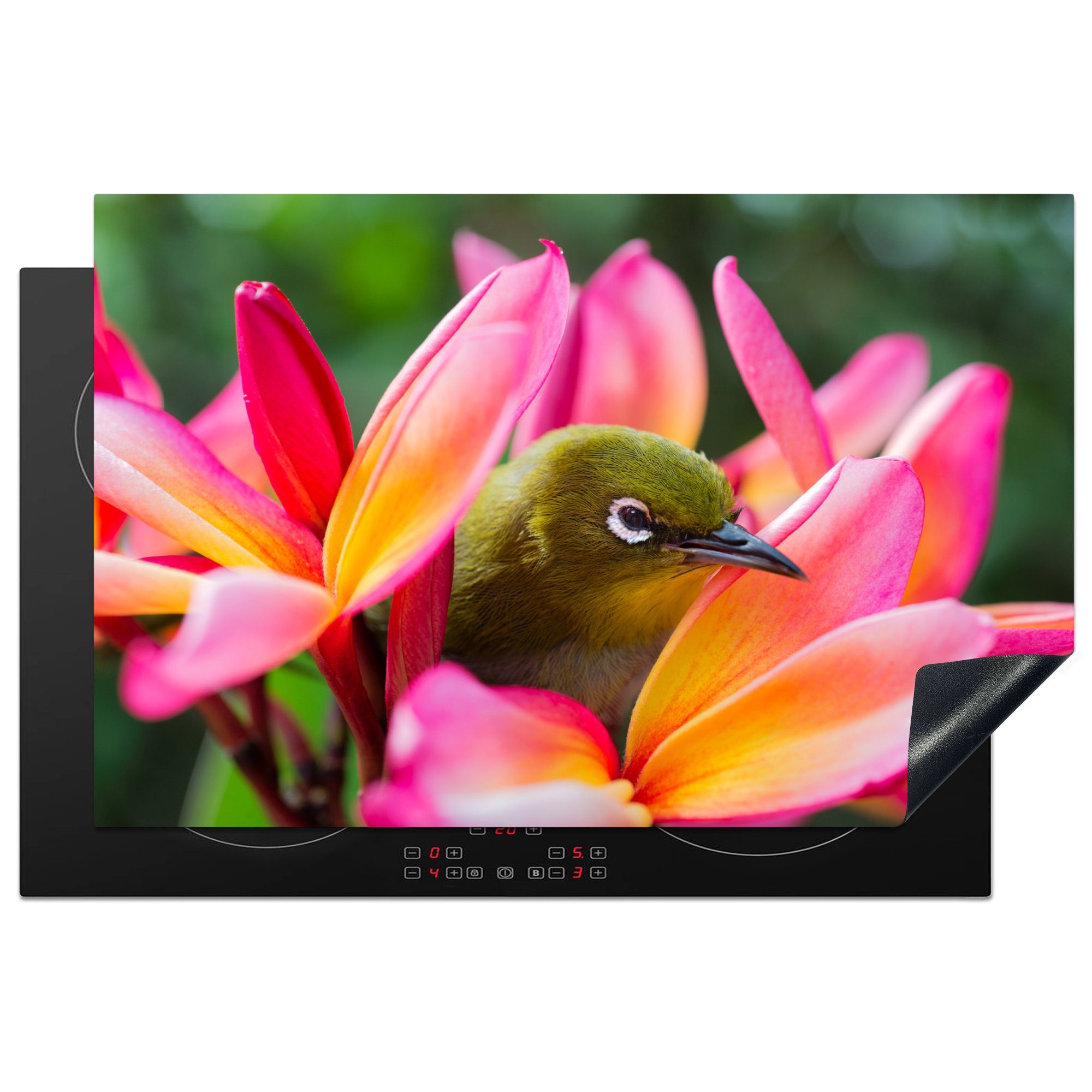 Vogel die Induktionskochfeld für 81x52 Tropischer Schutz küche, (1 zwischen MuchoWow cm, Herdblende-/Abdeckplatte Vinyl, Ceranfeldabdeckung Blumen, tlg),