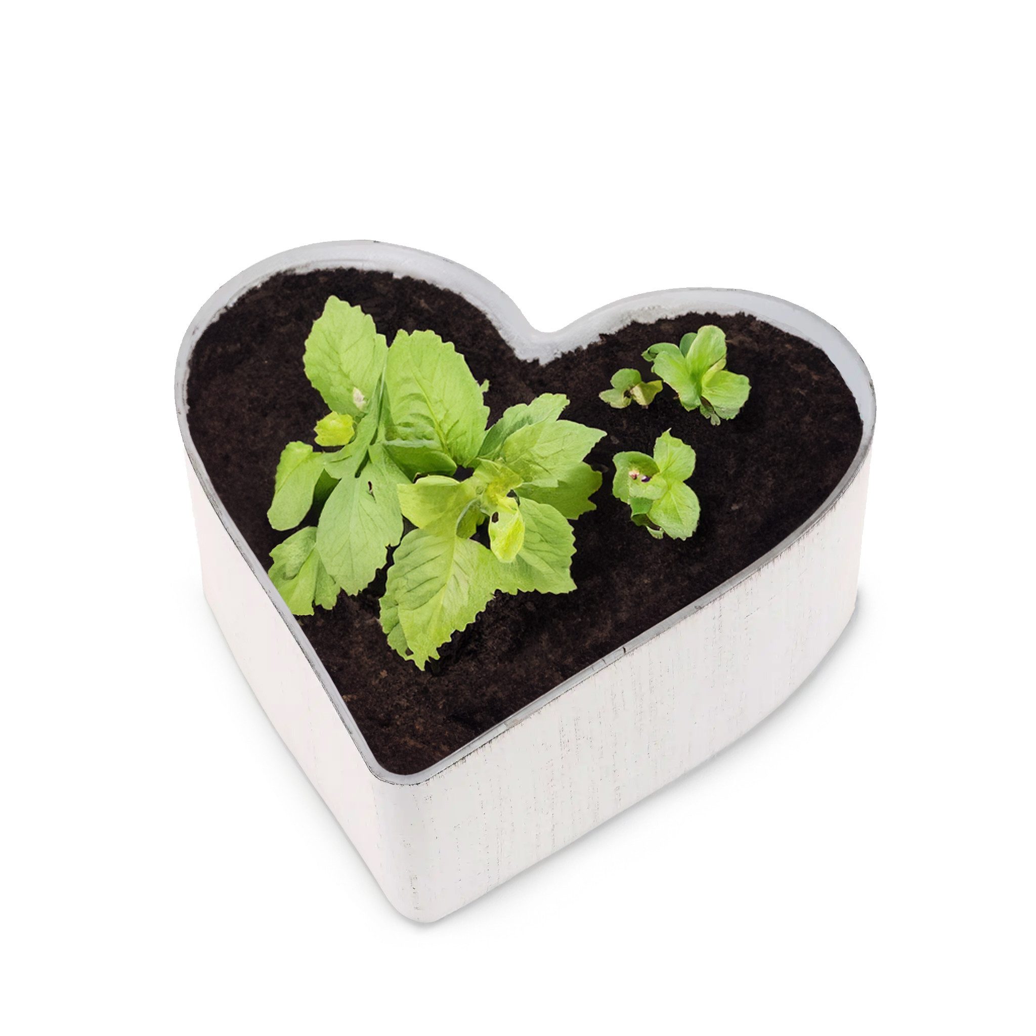 matches21 HOME & HOBBY Blumentopf Herz Pflanzschale Vintage creme-weiß 21 x 20 cm Grabschmuck (1 St), Outdoor Blumen-Schale als Garten-Deko wetterfeste Grabschale