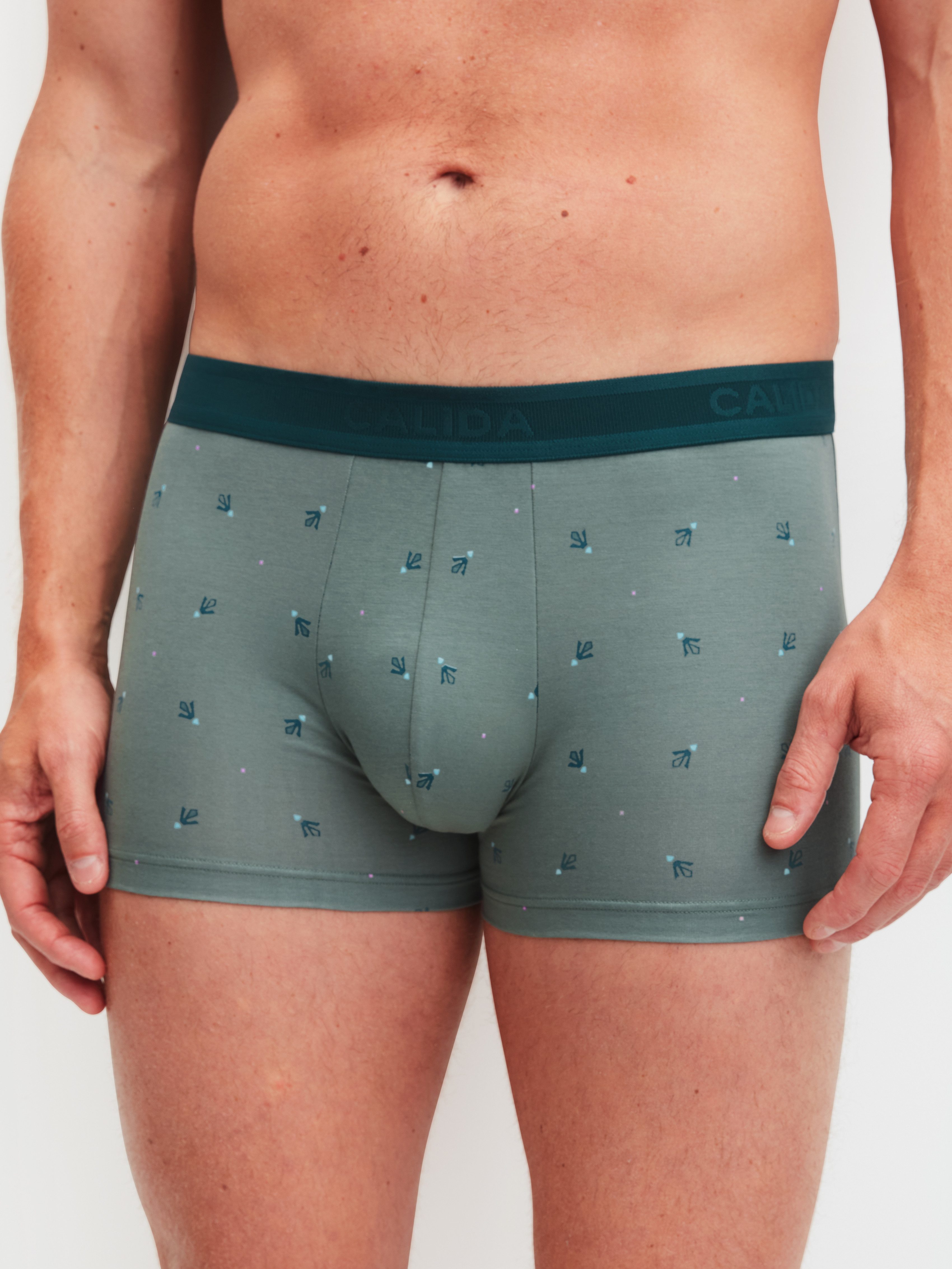 CALIDA Boxer Grafic Cotton ohne Eingriff, mit Softgummibund, Single-Jersey, elastisch