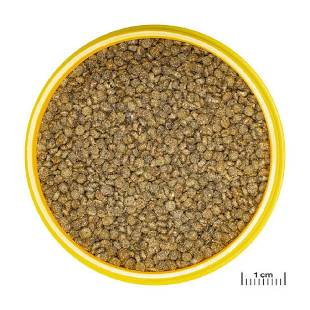 JBL GmbH & Co. KG Aquariendeko JBL PRONOVO GOURAMI GRANO CLICK in Größe S 250 ml Hauptfuttergranulat
