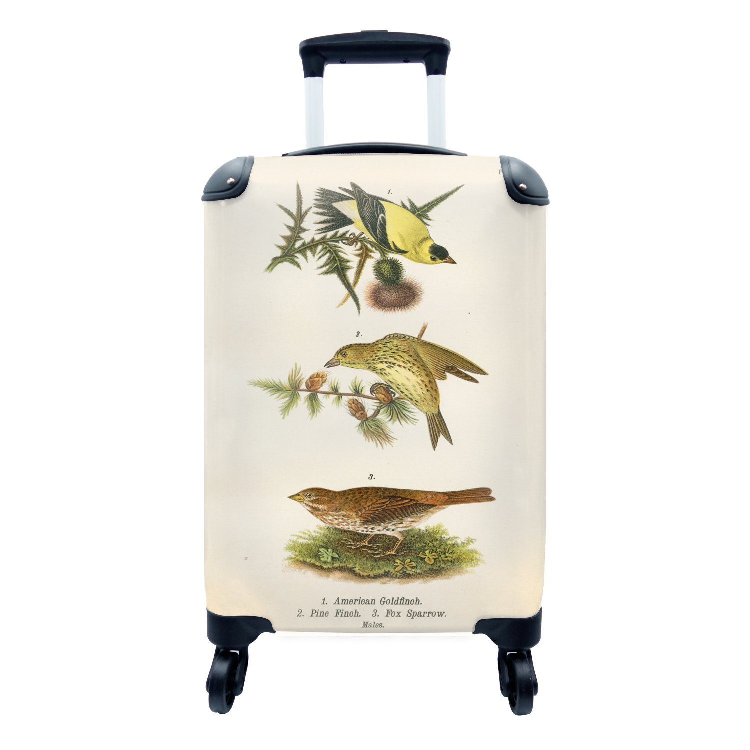 MuchoWow Handgepäckkoffer Antiker Vogeldruck, 4 Rollen, Reisetasche mit rollen, Handgepäck für Ferien, Trolley, Reisekoffer