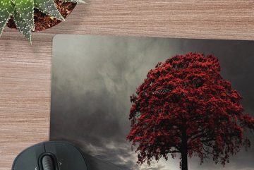 MuchoWow Gaming Mauspad Ein Schwarz-Weiß-Foto mit einem großen roten Baum (1-St), Mousepad mit Rutschfester Unterseite, Gaming, 40x40 cm, XXL, Großes