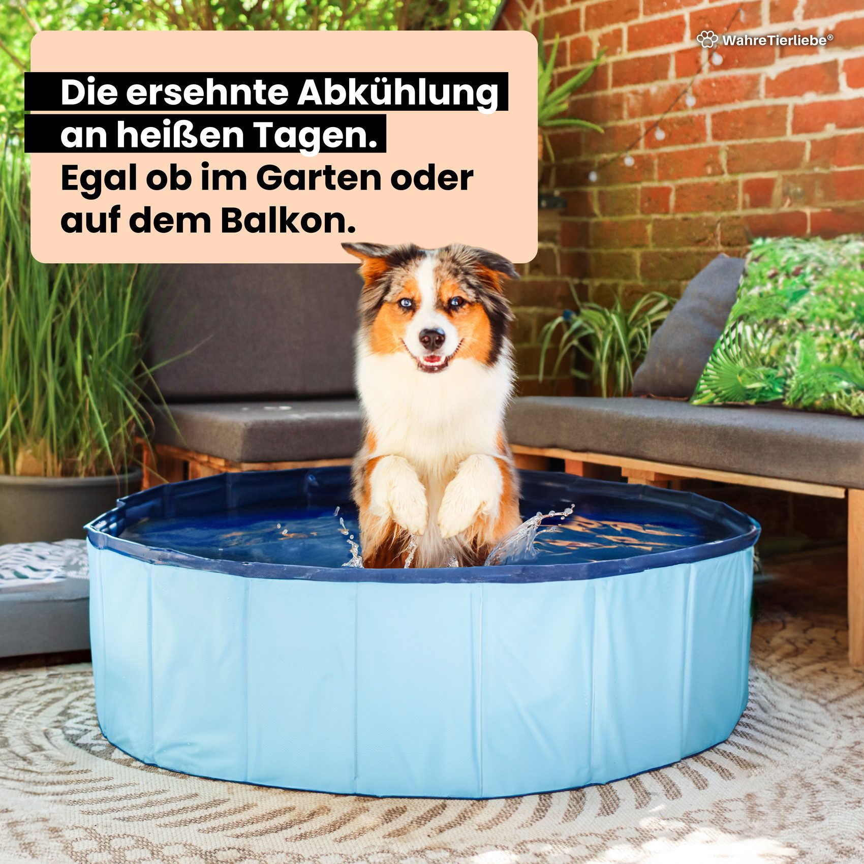 Wahre Tierliebe Hundepool