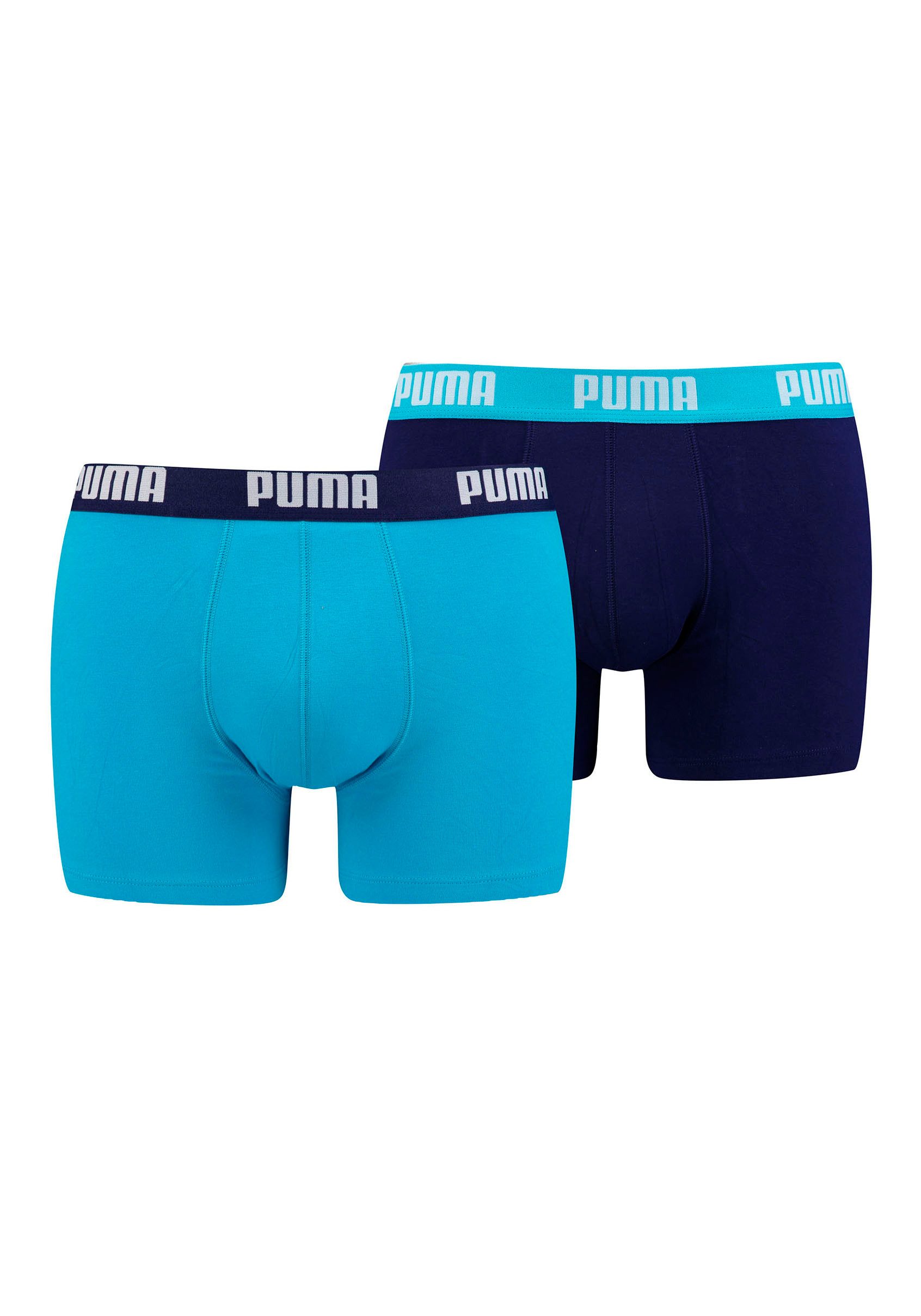 Boxer