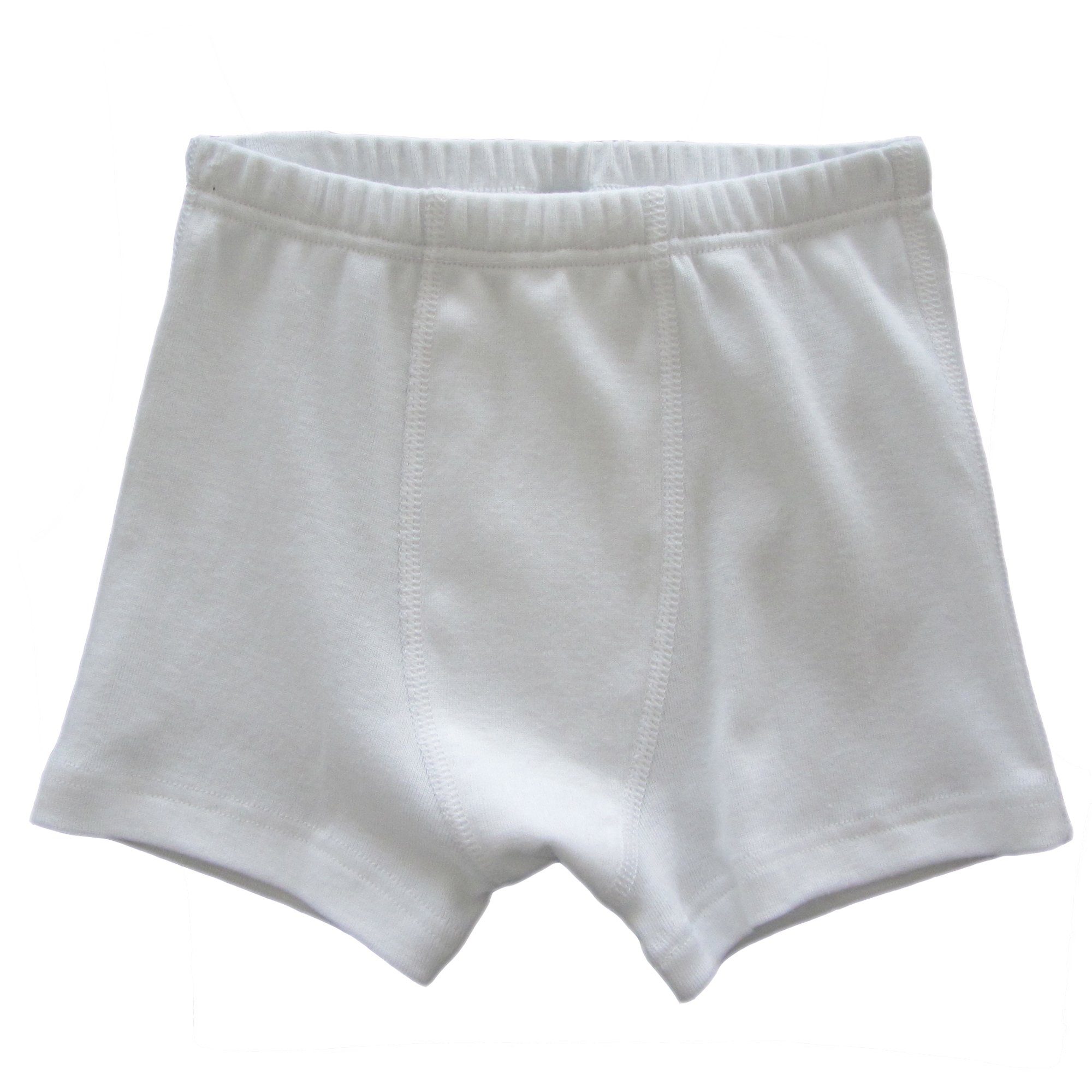 HERMKO Panty 2900 (Pack, 4er) 100 % Bio-Baumwolle Jungen Pant mit Weichbund Feinripp