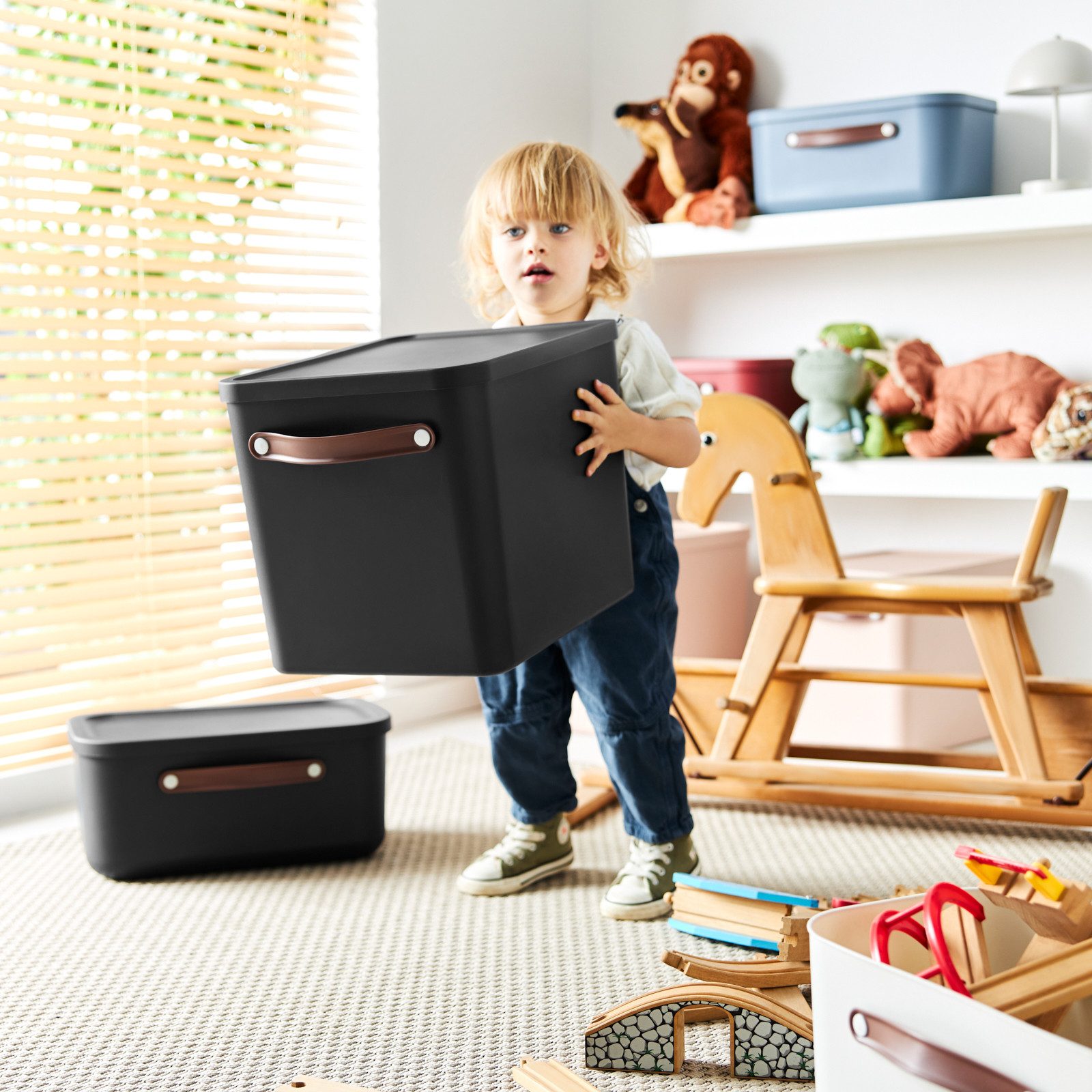 ROTHO Aufbewahrungsbox (Aufbewahrungsset, 2er-Set) – Bild 2 von 5