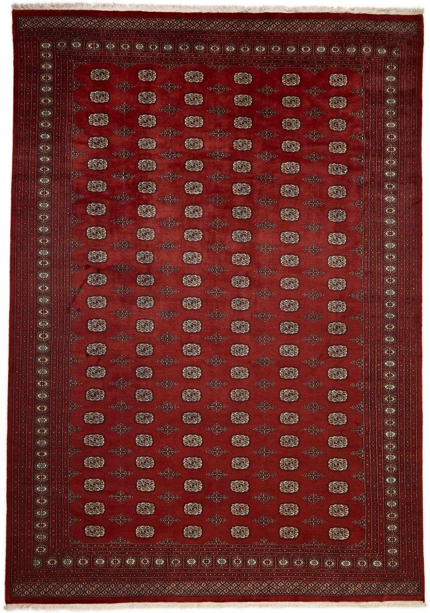 Orientteppich Pakistan Buchara 2ply 310x422 Handgeknüpfter Orientteppich, Nain Trading, rechteckig, Höhe: 8 mm