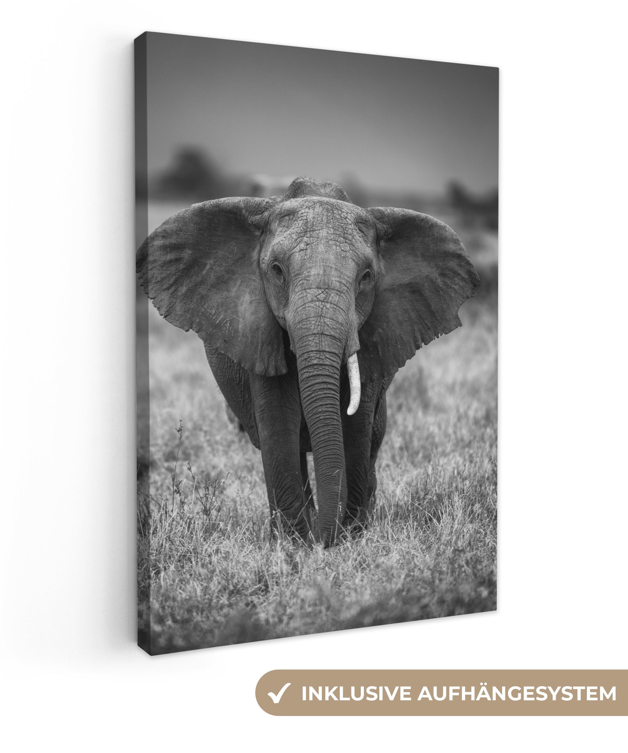 OneMillionCanvasses® Leinwandbild Elefant - Tiere - Safari - Wildtiere, Fotodruck (1 St), Leinwand Canvas Wandbild, Wanddekoration 20x30 cm