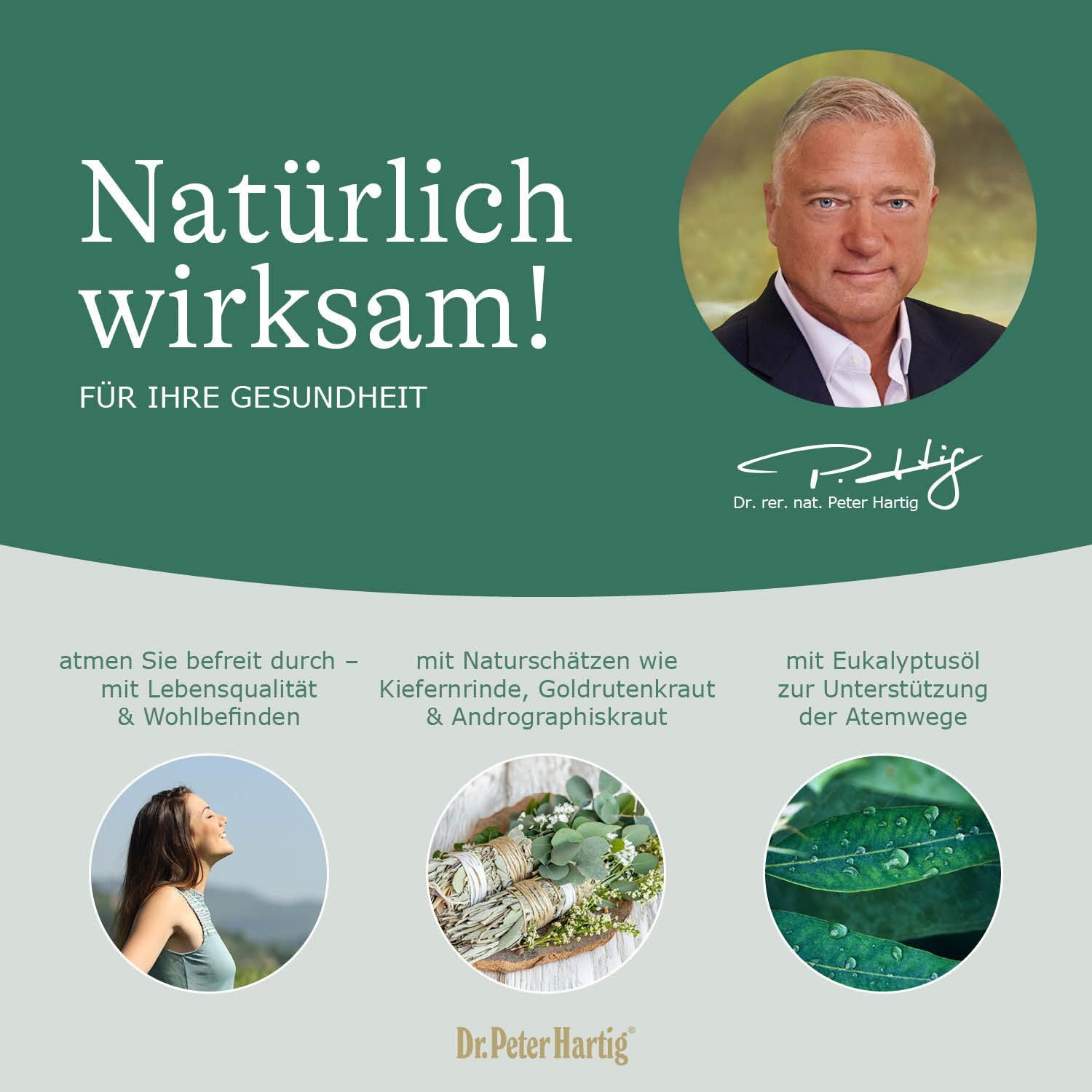 Dr. Peter Hartig Atem Kraft Forte, unterstützt die Atmung und Lunge, OPC, Eukalyptusöl, Kapseln, 120 Kapseln, 4-Monats-Vorrat, à 69 g, Atem Kraft Forte 120 Kapseln Atmung Lungen OPC Eukalyptusöl