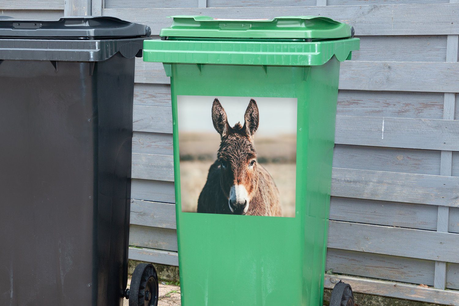 Container, Sticker, - Abfalbehälter Wandsticker (1 Porträt Mülleimer-aufkleber, Tier Esel - St), MuchoWow Mülltonne,