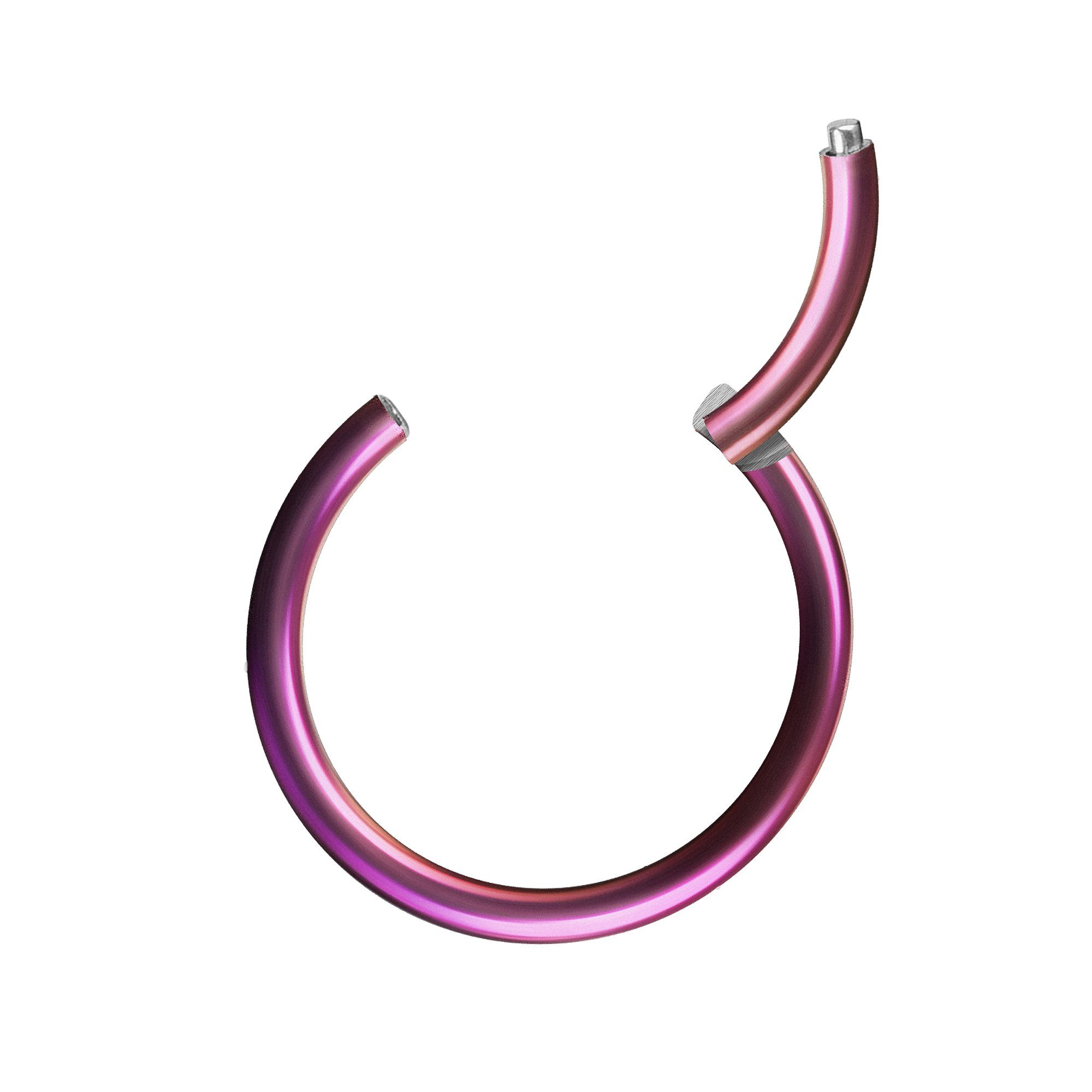 Taffstyle Nasenpiercing Segmentring Piercing Titan G23 günstig online kaufen