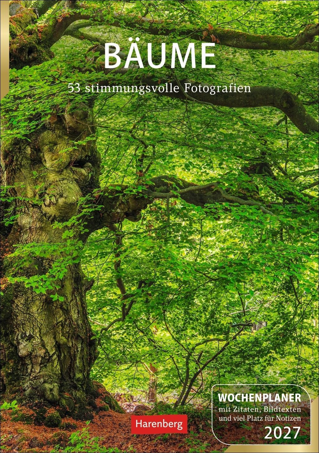 Tischkalender Bäume Wochenplaner 2027 - 53 stimmungsvolle Fotografien Faszinierende