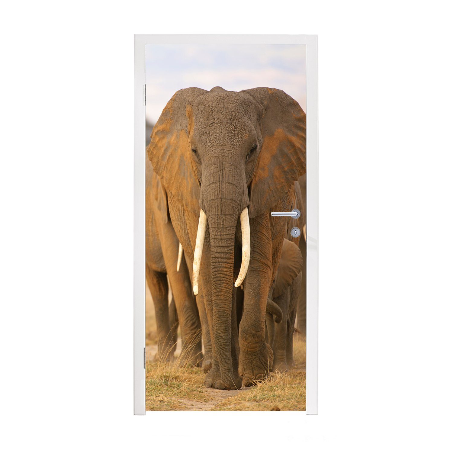 MuchoWow Türtapete Familie der Elefanten, Matt, bedruckt, (1 St), Fototapete für Tür, Türaufkleber, 75x205 cm