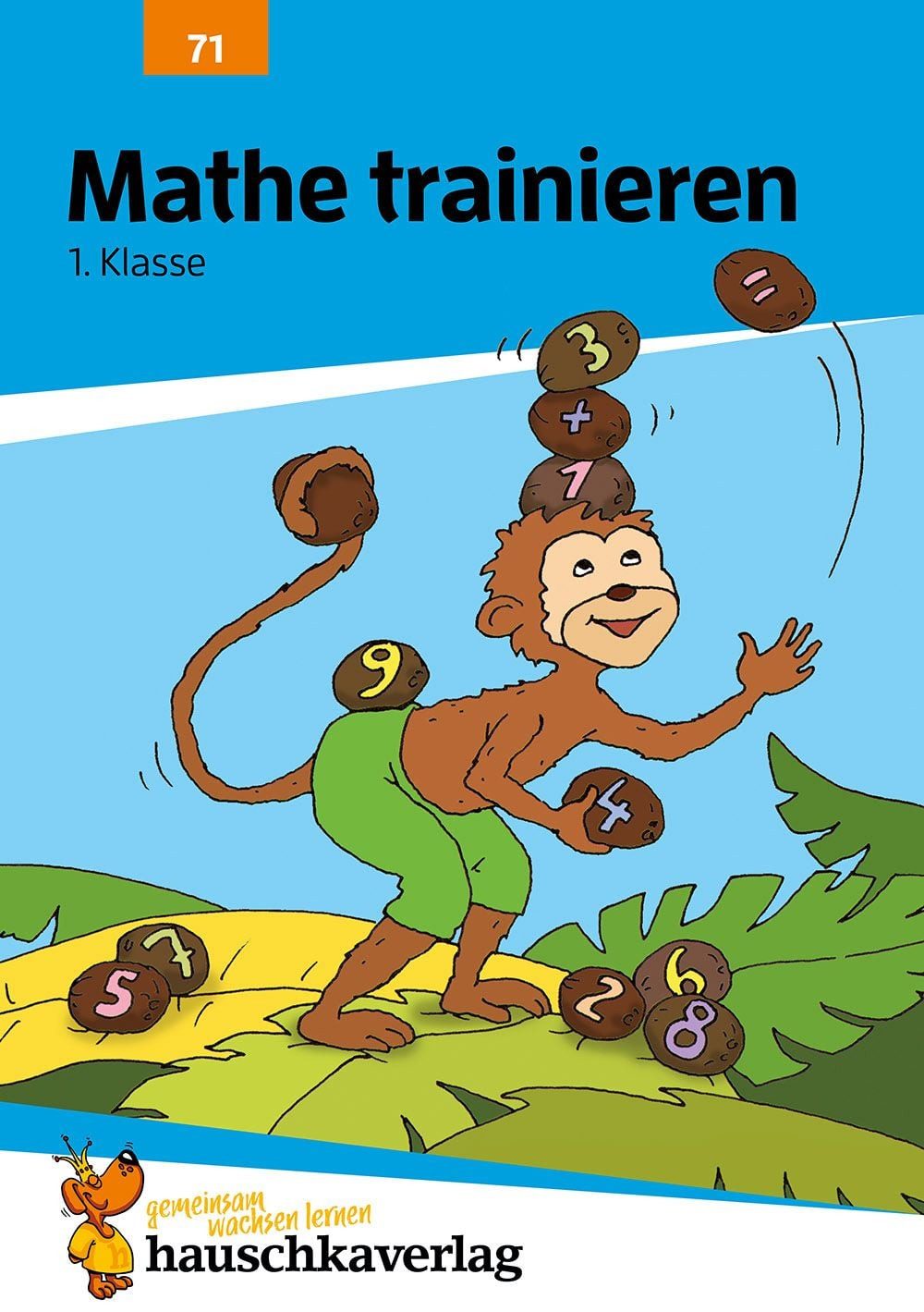 Schulbuch Übungsheft 1. Klasse - Mathe trainieren Rechnen lernen, Zahlen bis 20, Helena Heiss