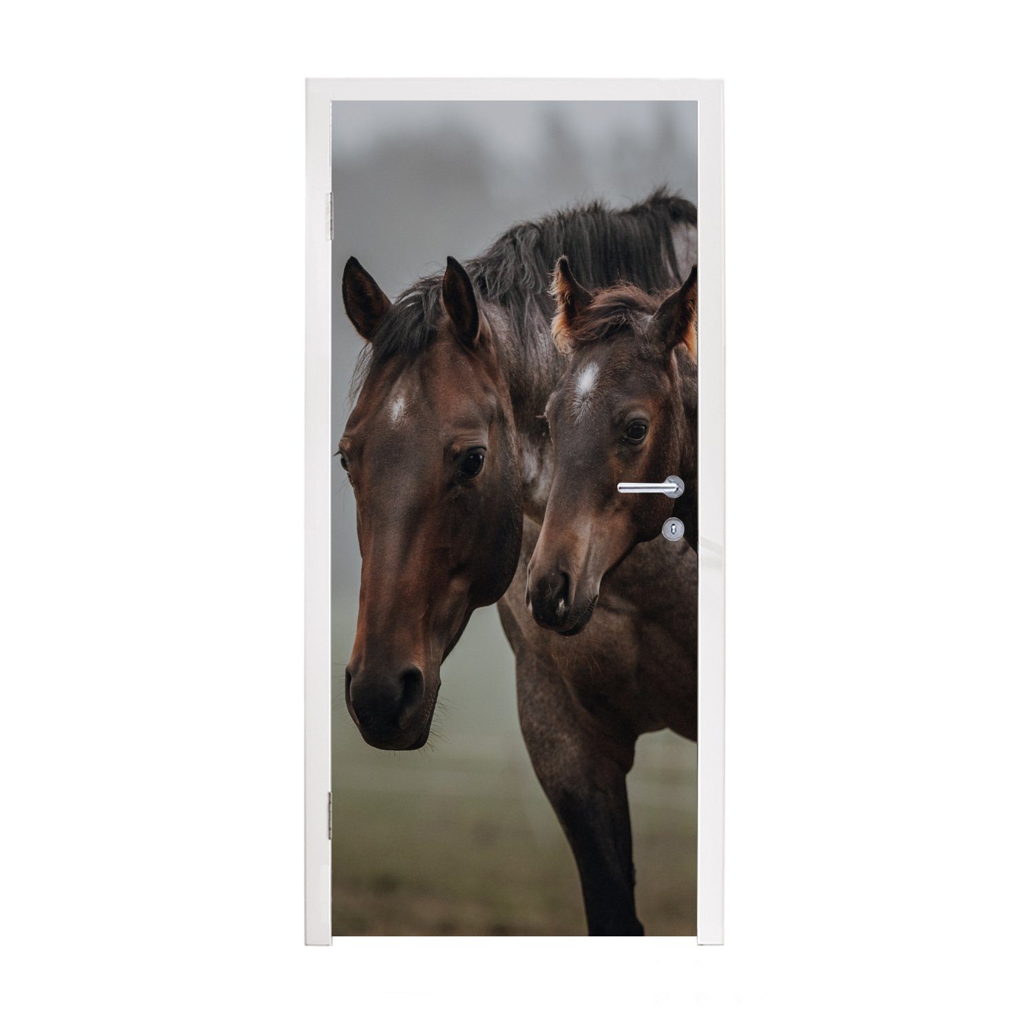 MuchoWow Türtapete Pferde - Nebel - Landschaft, Matt, bedruckt, (1 St), Fototapete für Tür, Türaufkleber, 75x205 cm