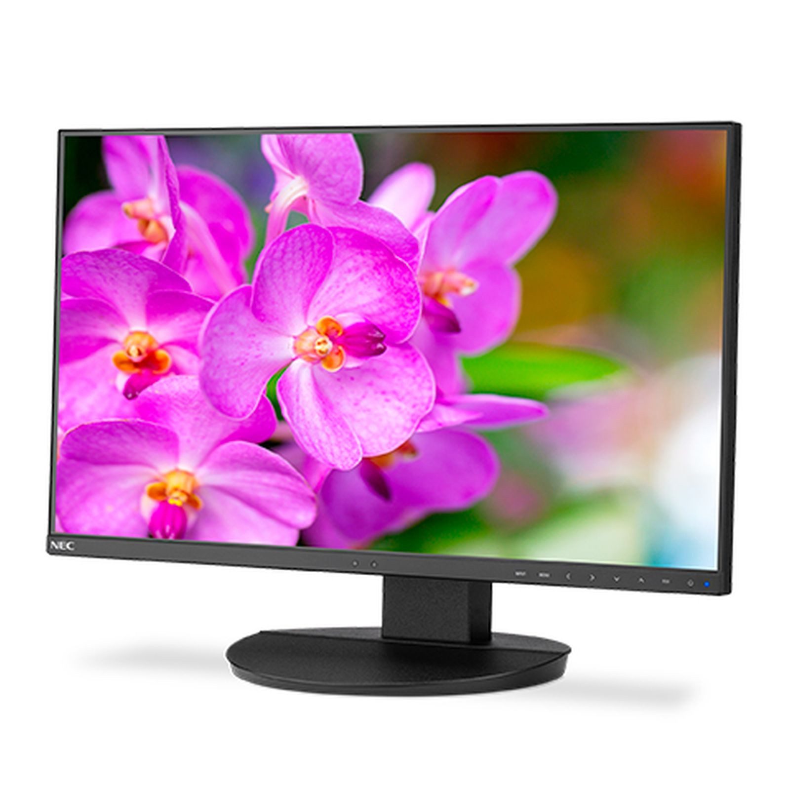 NEC MultiSync EA241F-BK TFT-Monitor (1920 x 1080 px, Full HD, 5 ms Reaktionszeit, 60 Hz, IPS, Lautsprecher, HDCP, Pivot, Höhenverstellbar)