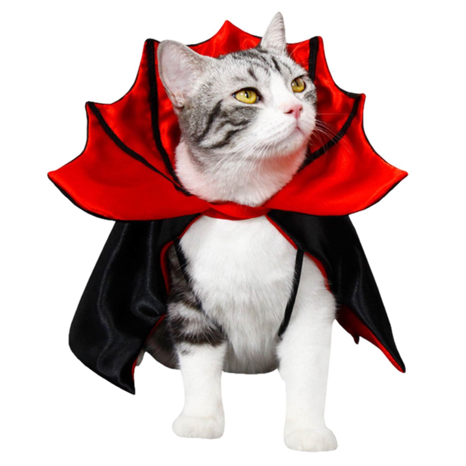 Refttenw Hundekostüm Katzenkostüm Halloween Haustier Kostümumhang, Fledermaus 3D-Stehkragen, für Halloween Party, Haustier Cosplay