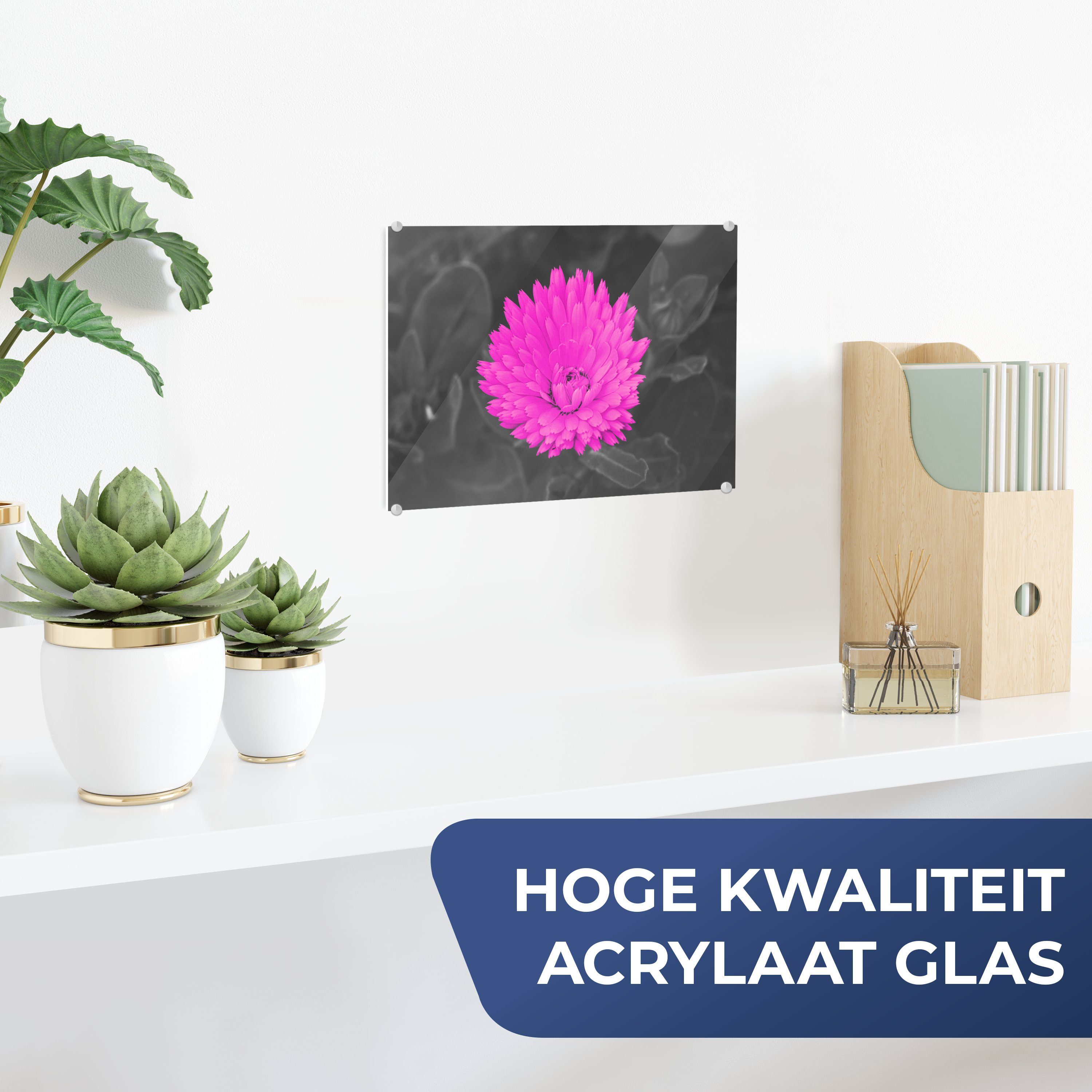 MuchoWow Acrylglasbild - Foto Aquarell Bilder Blumen Glasbilder (1 auf Rosa, Glas auf Glas St), - - Wandbild - Wanddekoration 